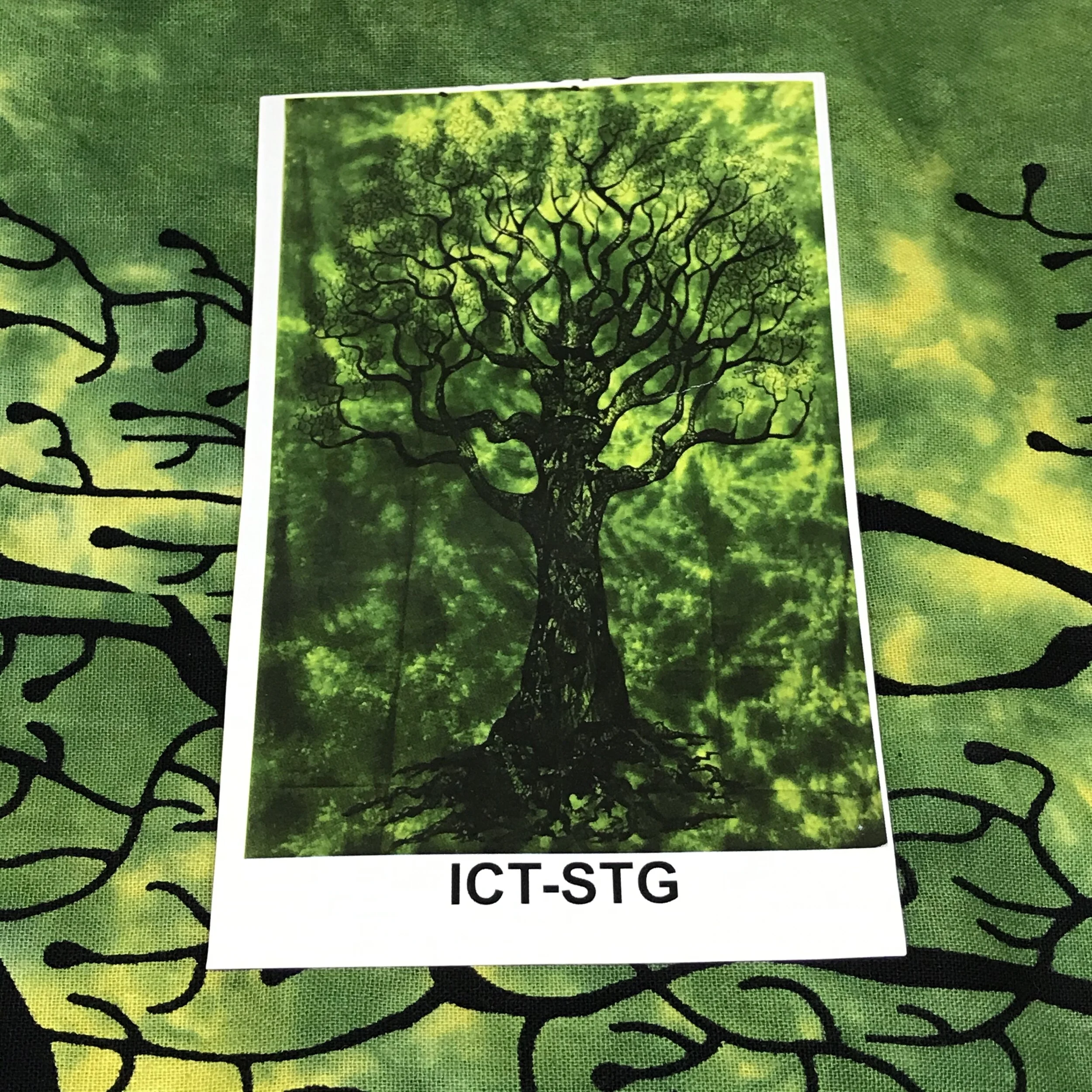 CC9D1C02-C28F-4C5E-95A4-365D99E79A47