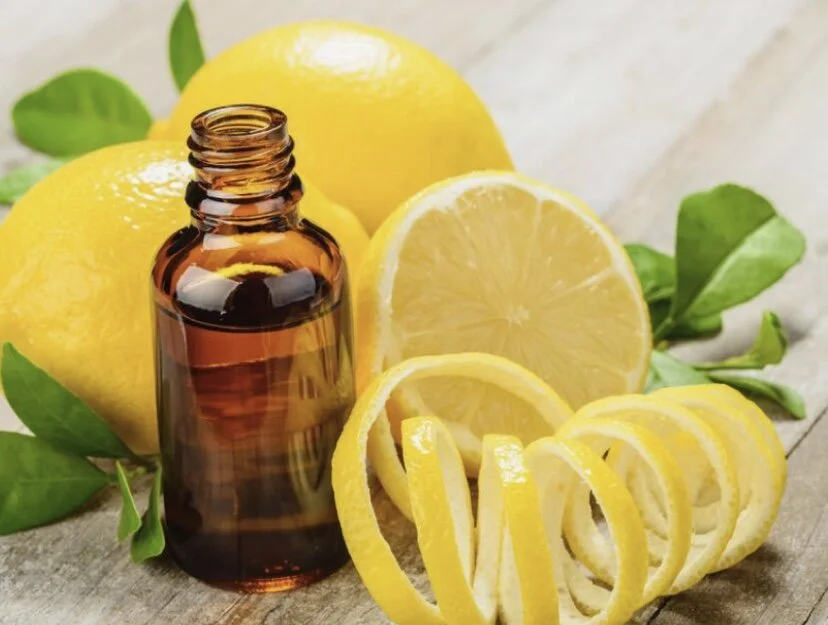 5136D5C1-1C2E-4B0F-A8BB-9E25E100D13D