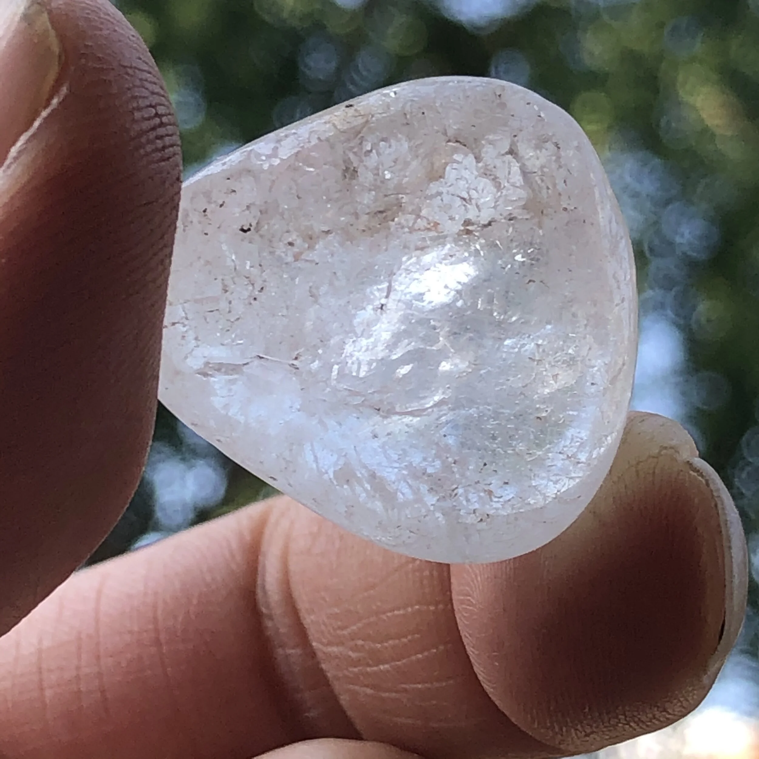 21245CFC-C2D8-425E-A6B5-C9EFA4FBED7C