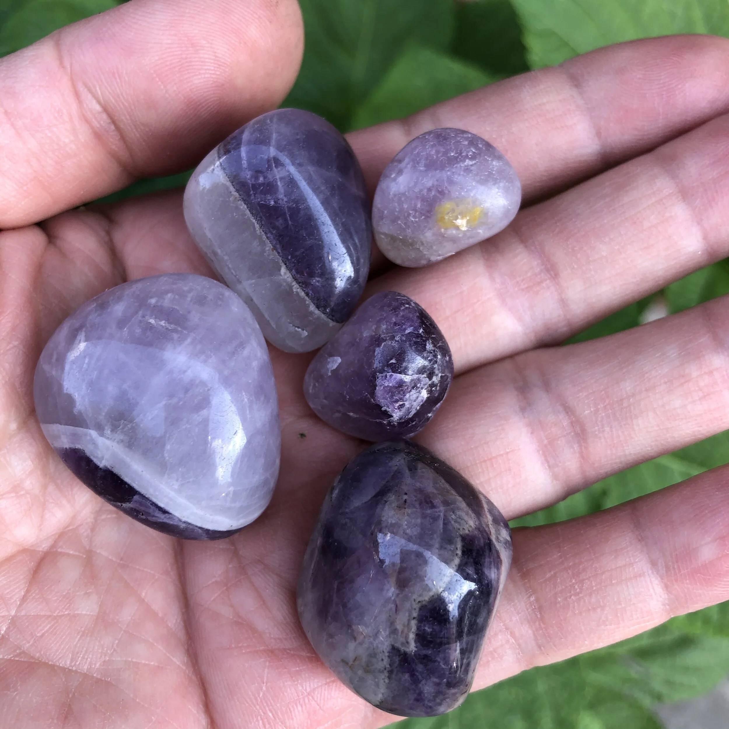 7ED6F6E4-1A0C-4C96-BA4A-B07B3F6D1BEF