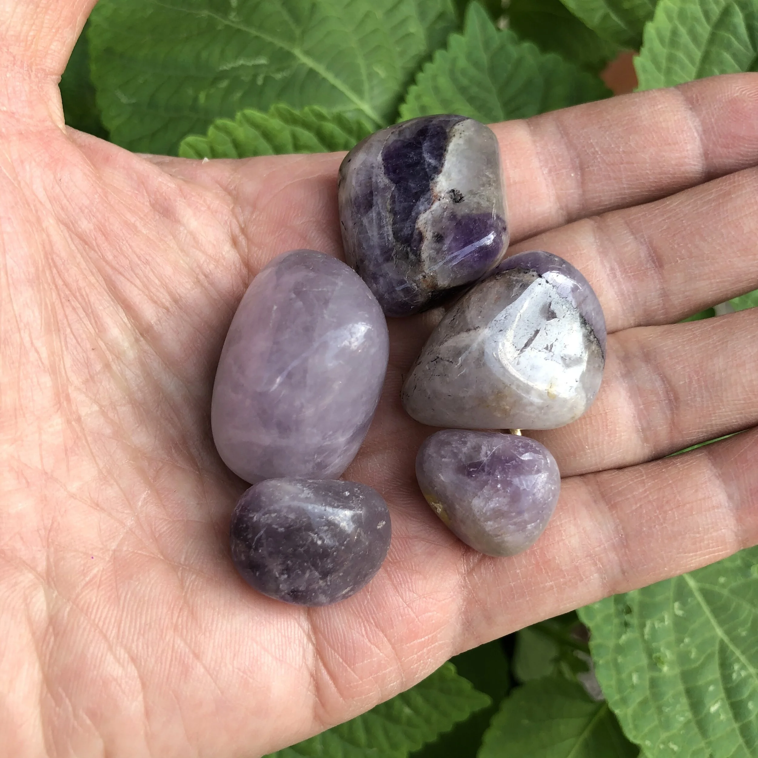 5DA28DFD-BAB2-47C5-9EC0-D936FE741639