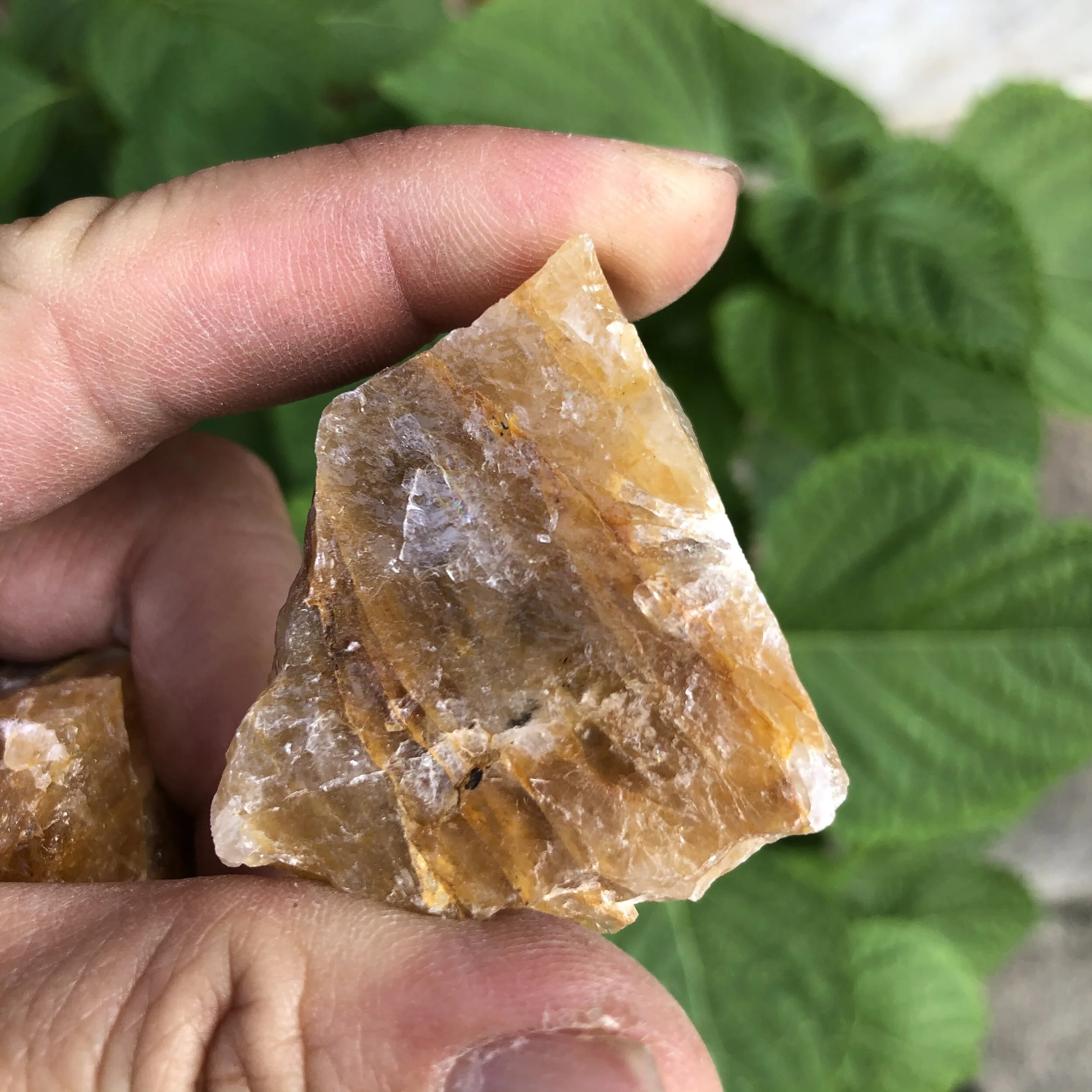 7939DFF7-DDEF-402B-8315-668EDDA93A81