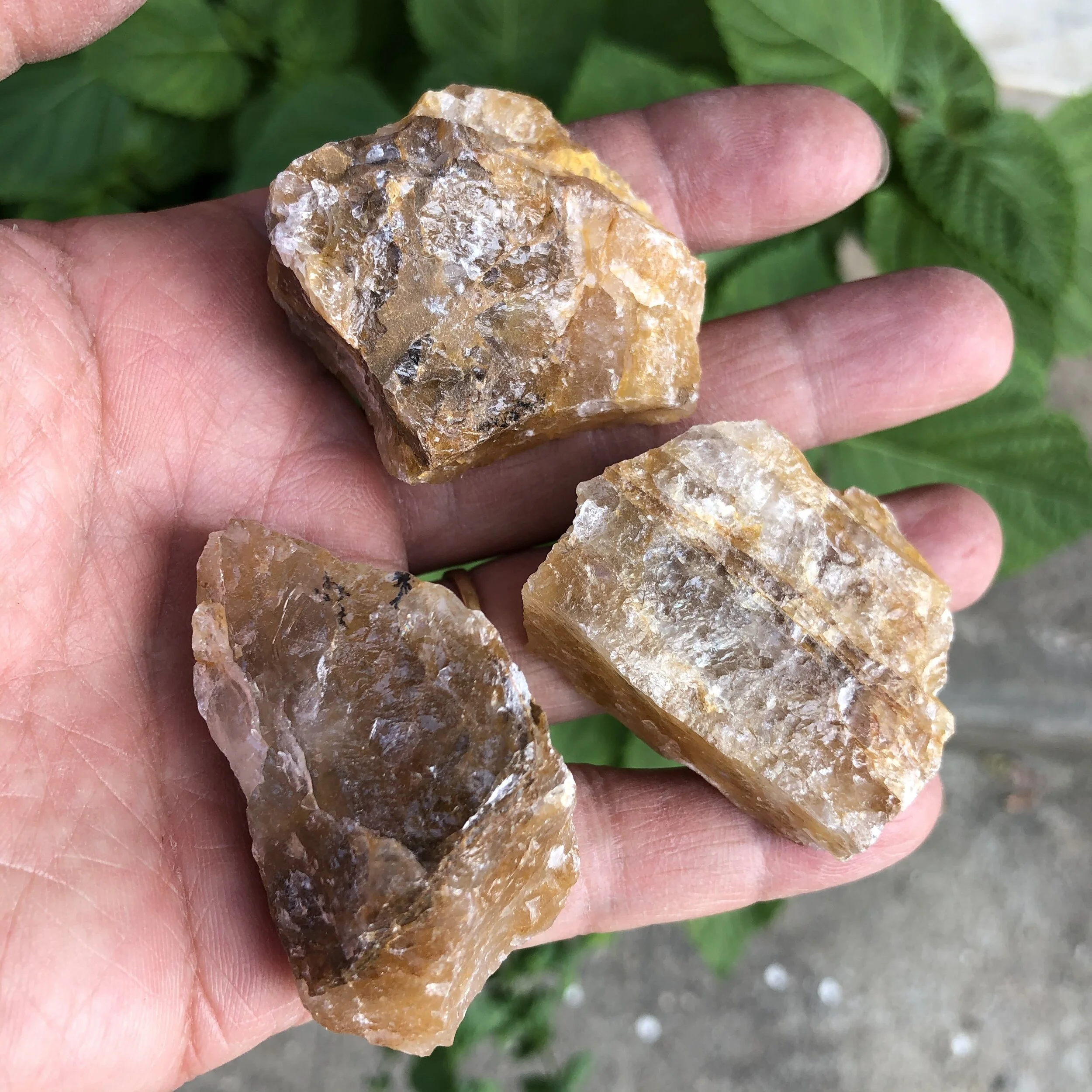 75D1F138-42F3-4DDA-8838-AF29CBDF21B5