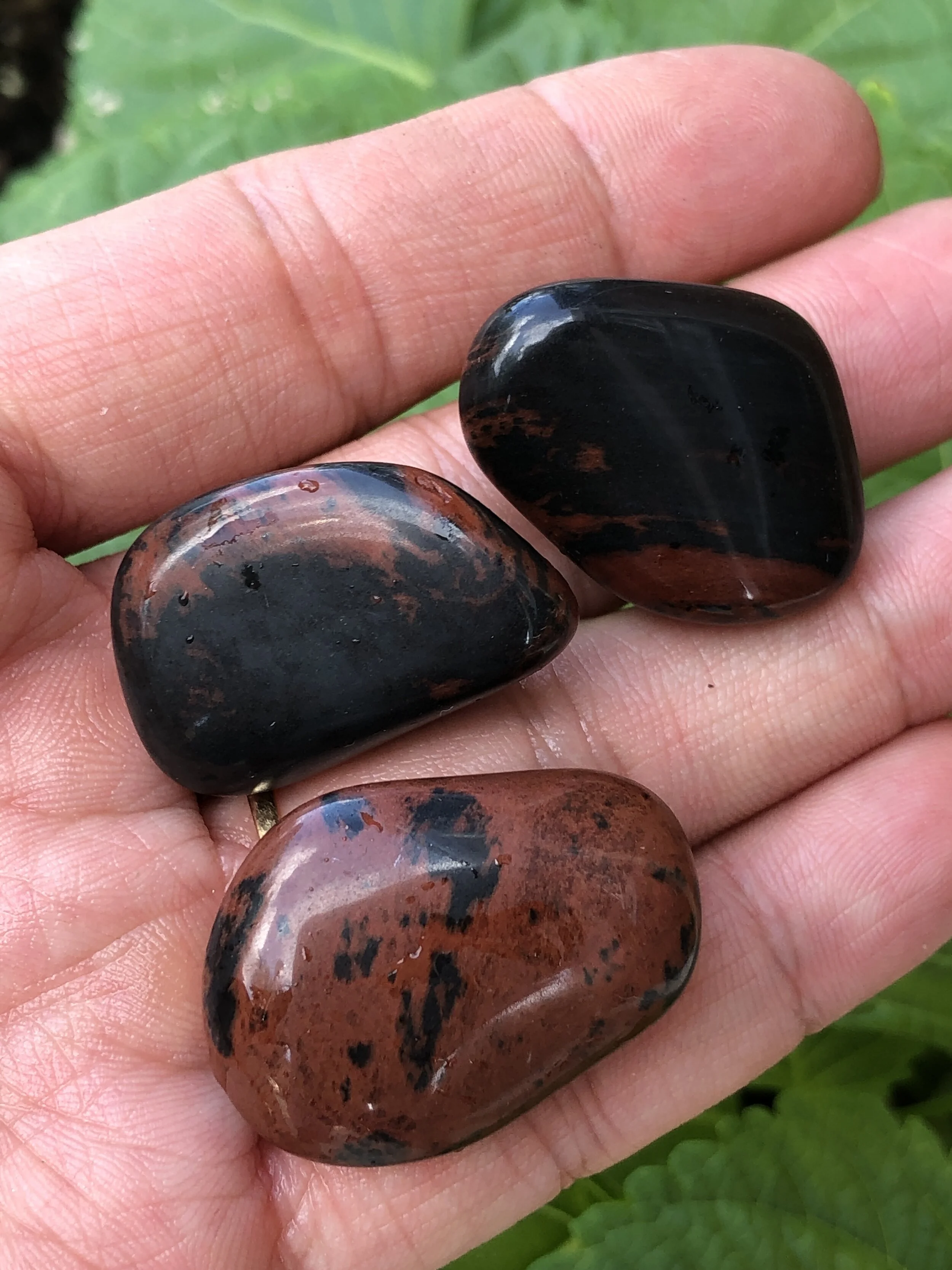 5C5B3E13-9A6A-4D27-92EB-6D5B82C0B2D9