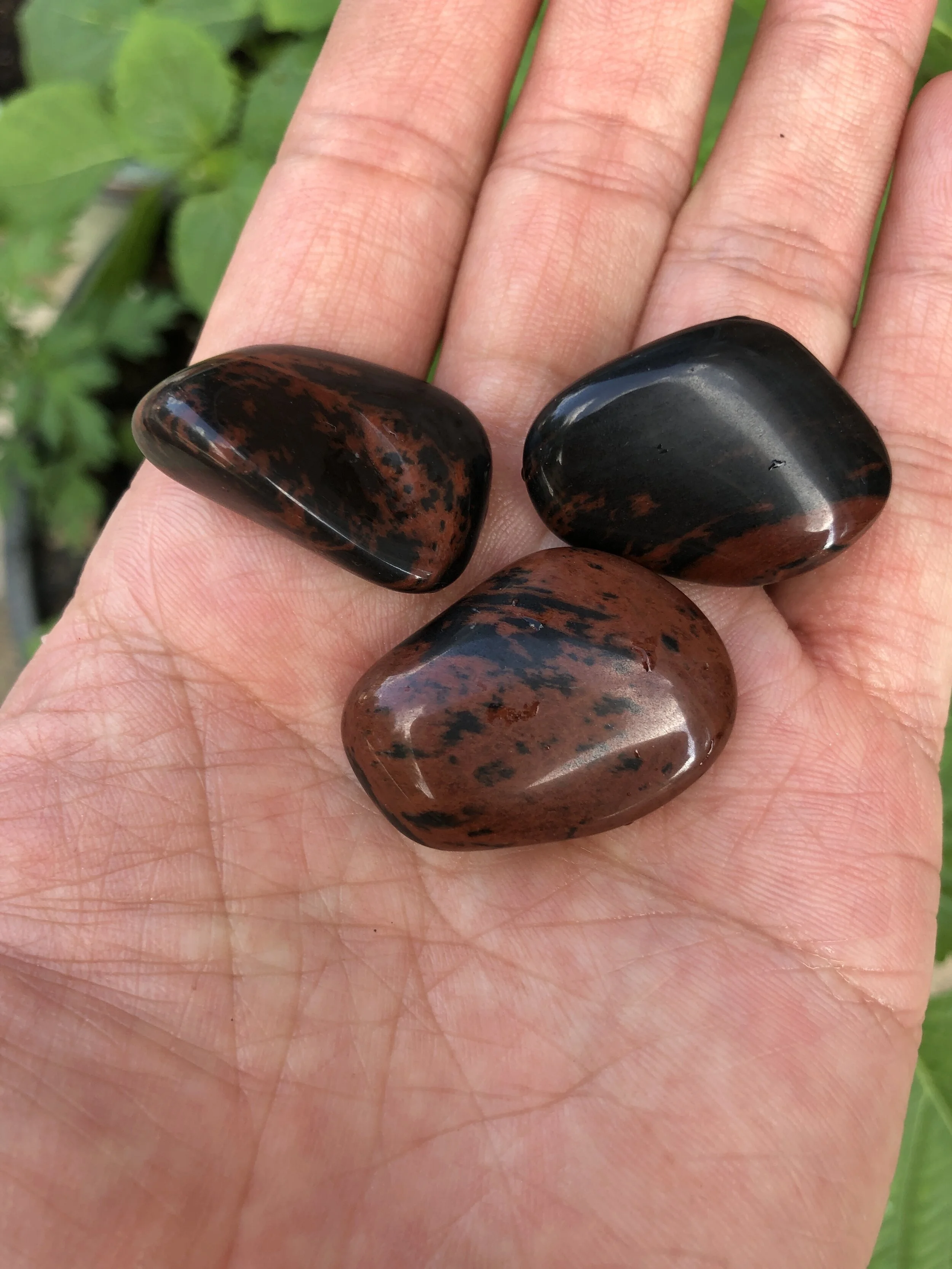 4F18D8A5-BE83-4ACF-B0C2-04EEF25F16E7