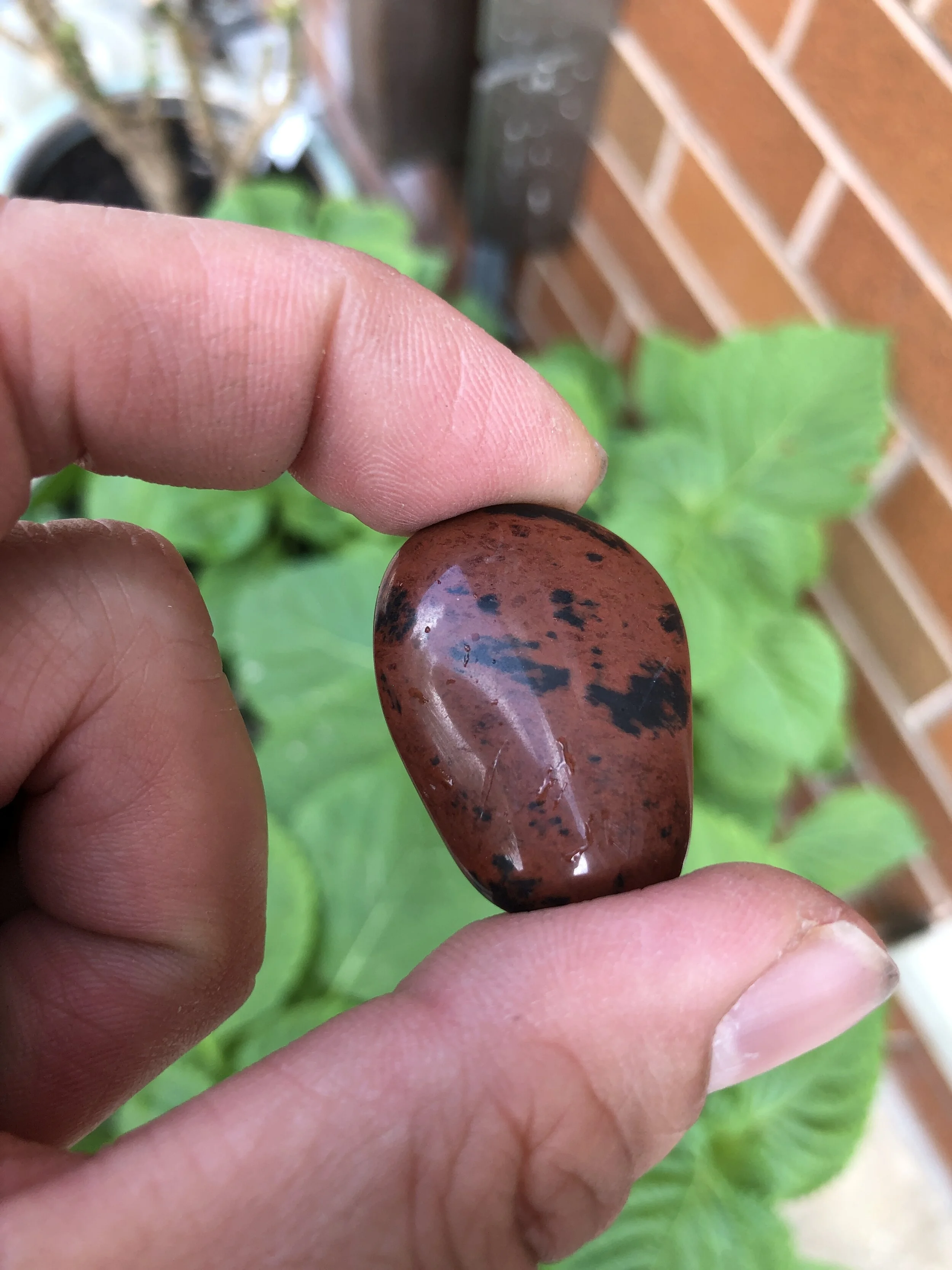 62F21F0A-16C8-4F8C-8D50-2DCECED811F2