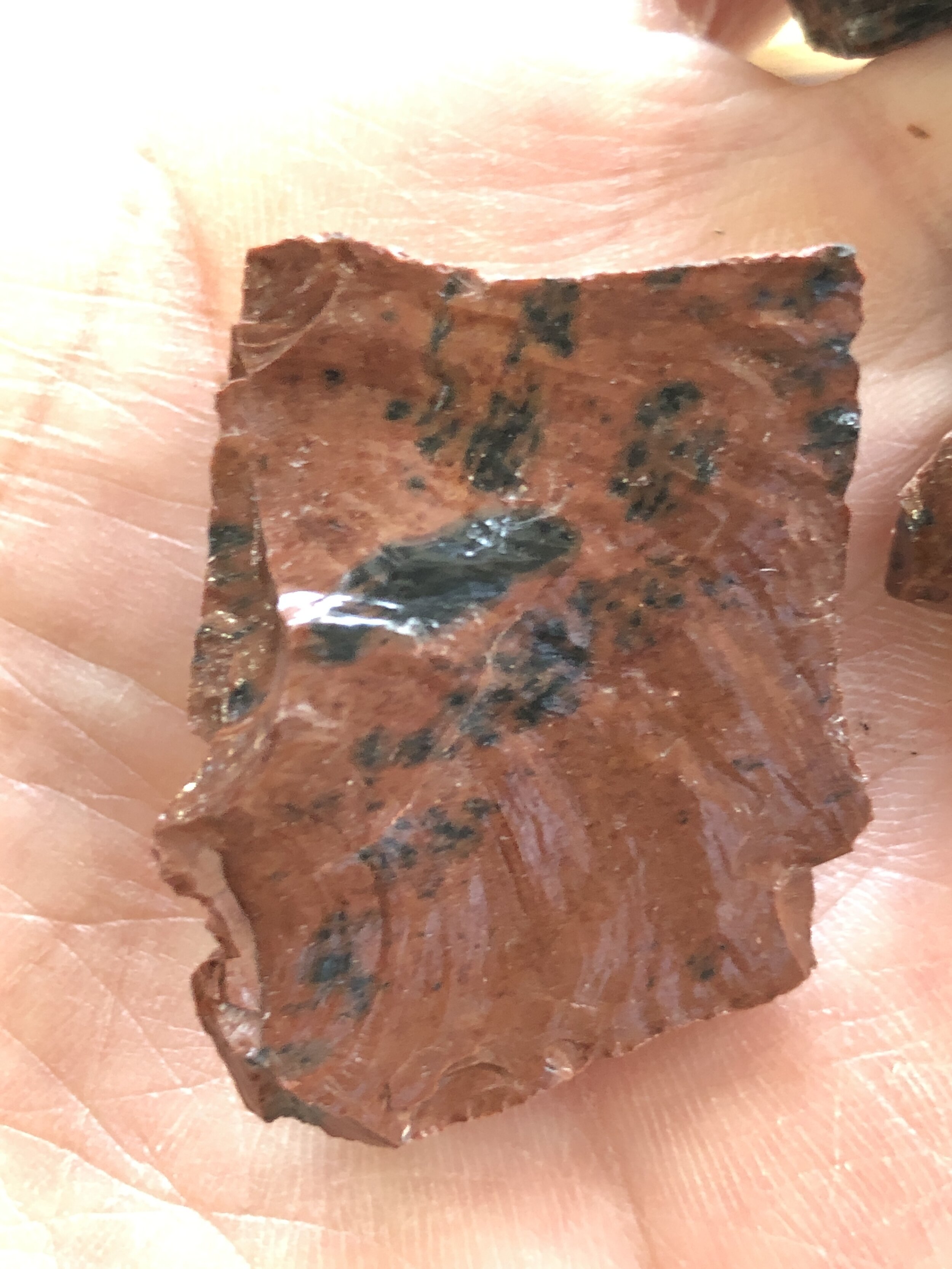 FB2212A2-8DDC-4B28-97C3-7A070676846A