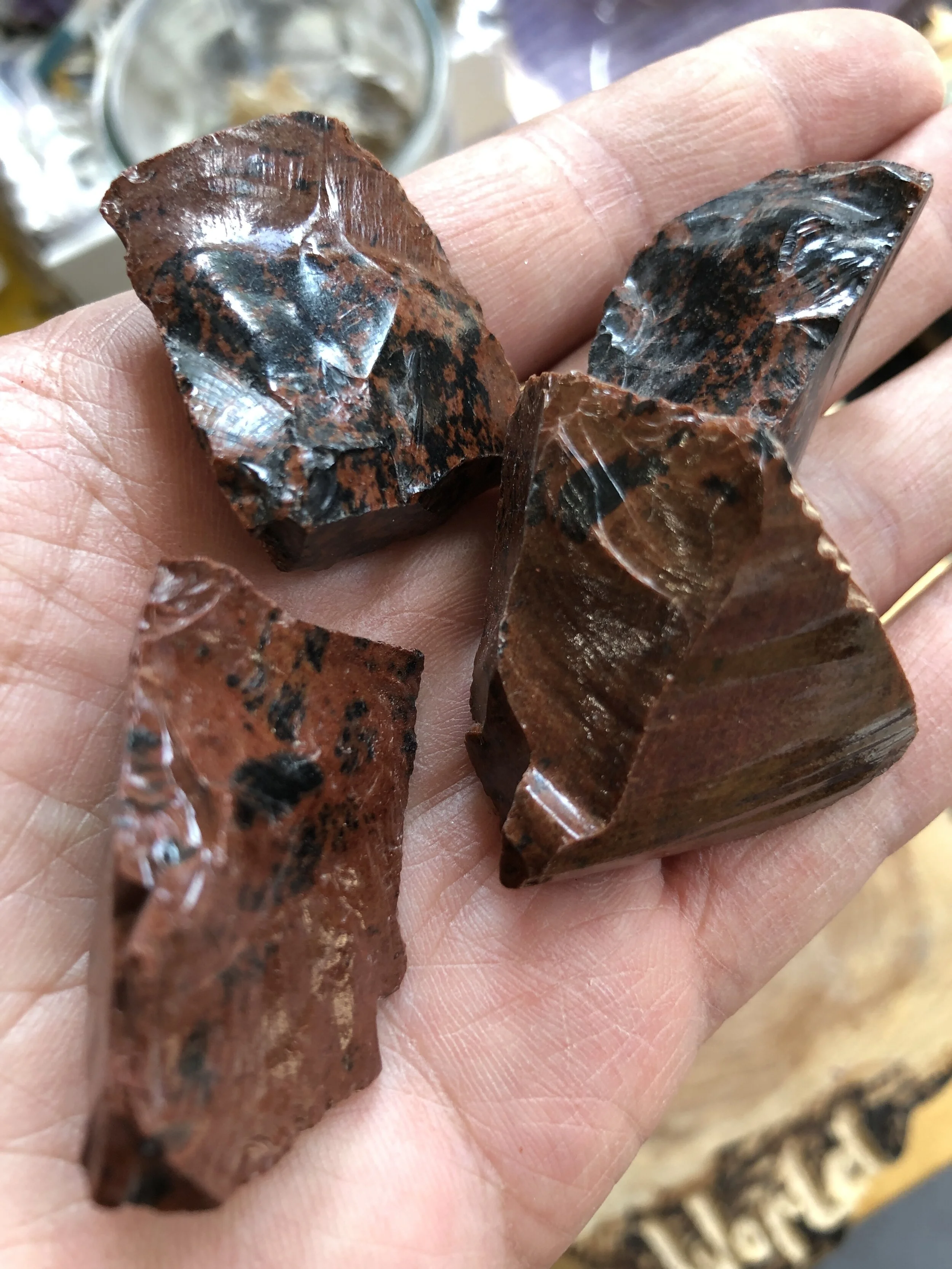 490F101B-4564-4431-BC9A-7F4E7BEC403F