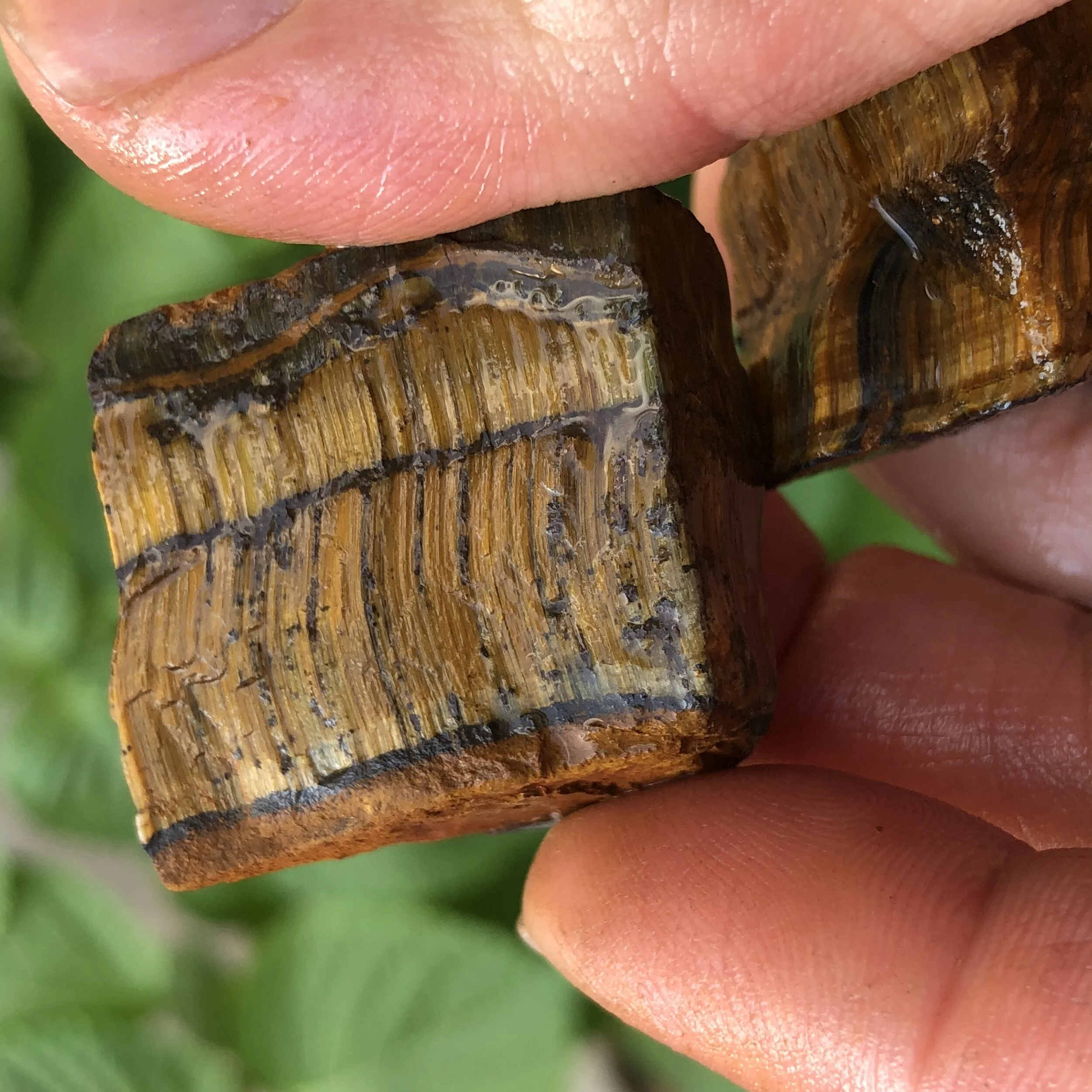 EEE5C8DD-5C79-4881-B9CC-46F282CC4653