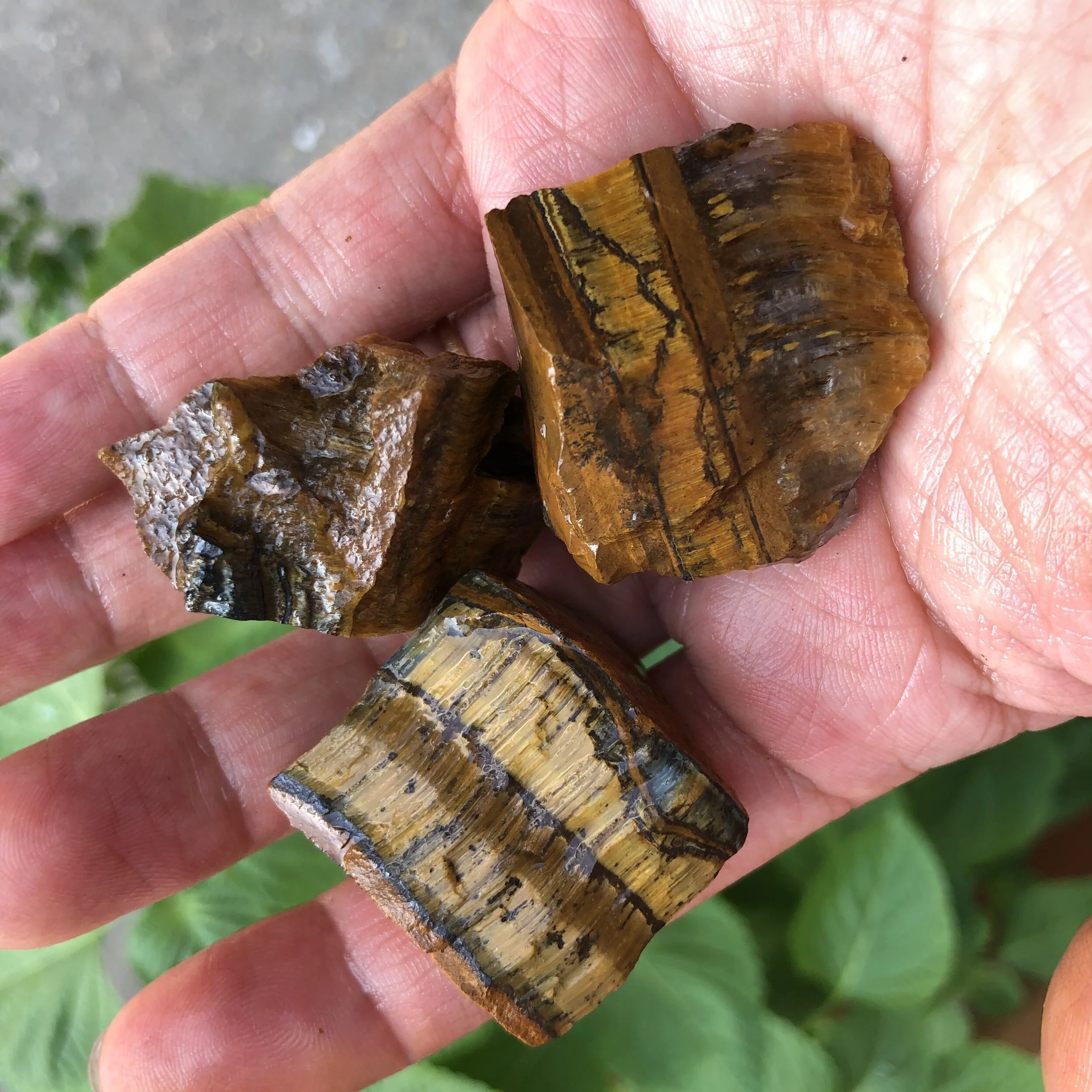 27098B40-22CA-4456-AD1B-2EE9EA0A6EB6