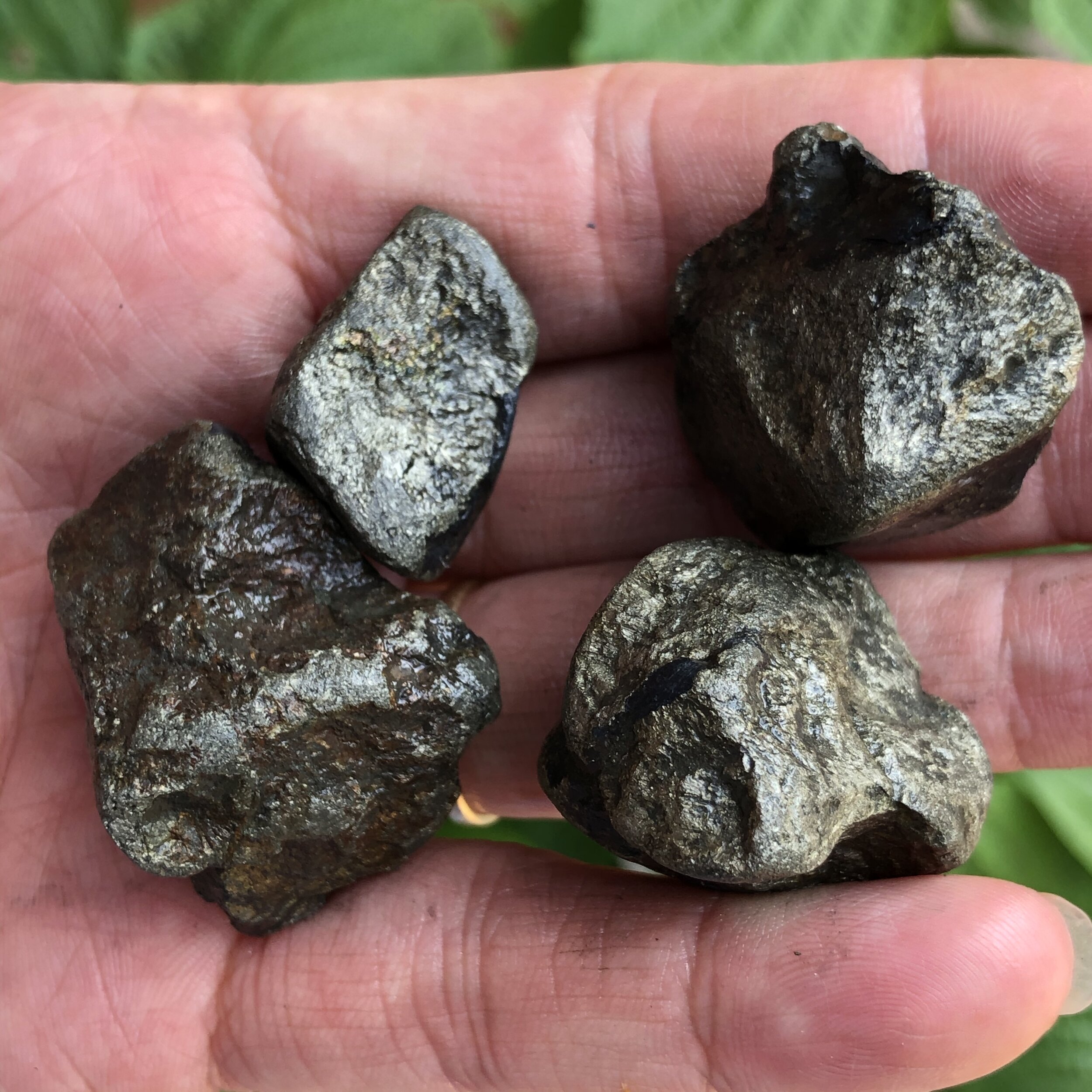 42DD0468-8004-4DA2-8F75-37801BBECAAE