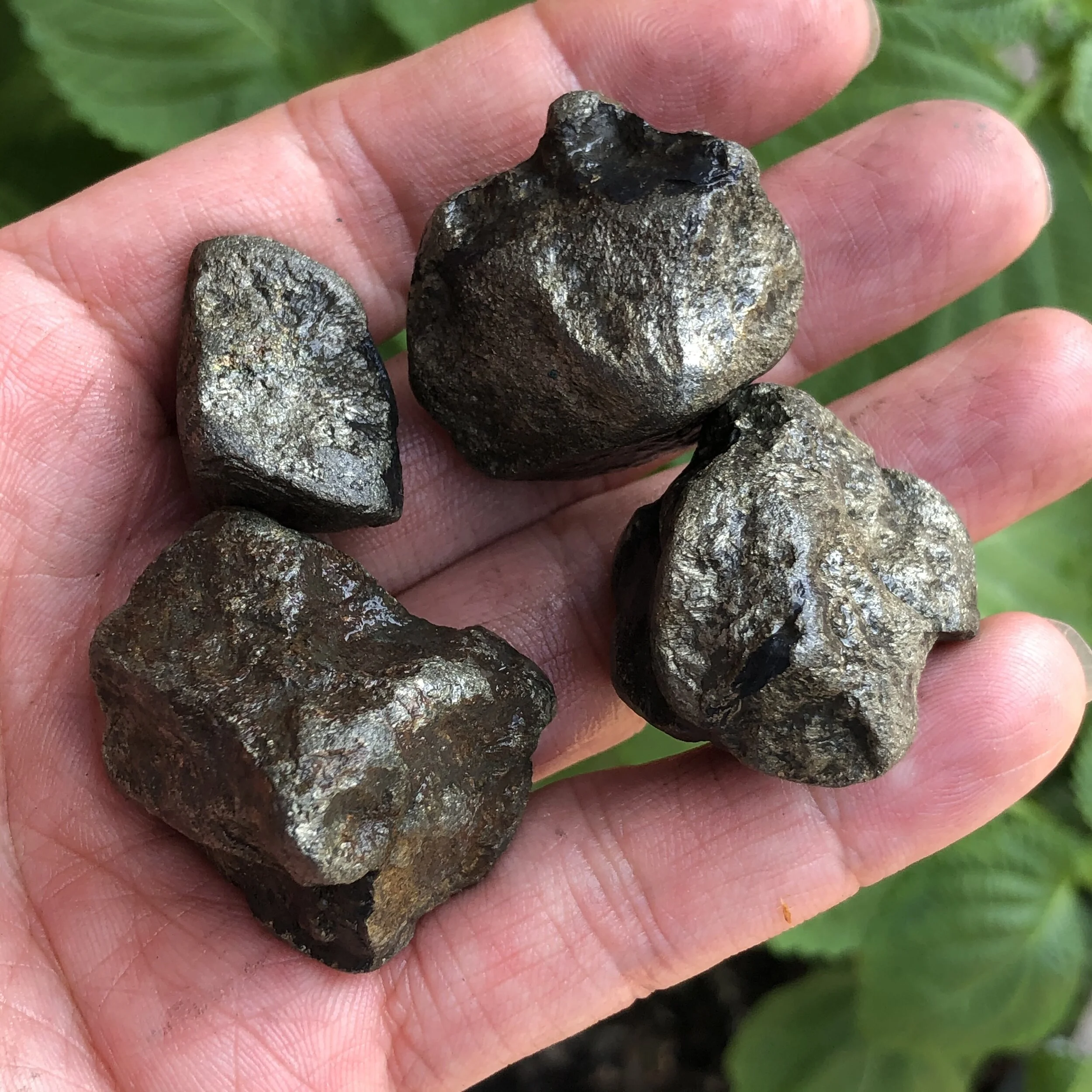 29AB78B8-2FF5-48E7-88E8-B6AE805AA5F3