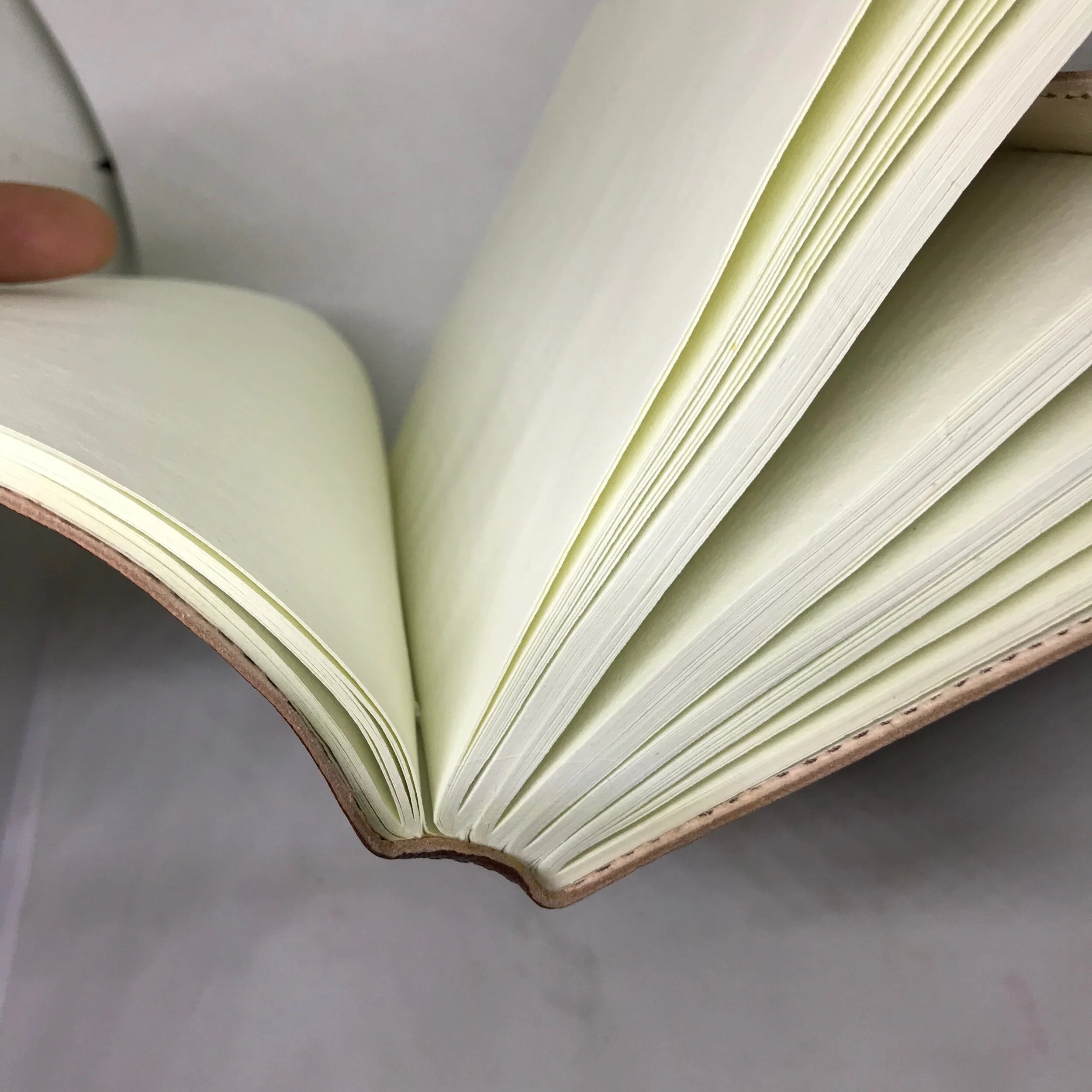 FE2C88D7-CA3B-4CCF-96A6-D7F5C619DFBA