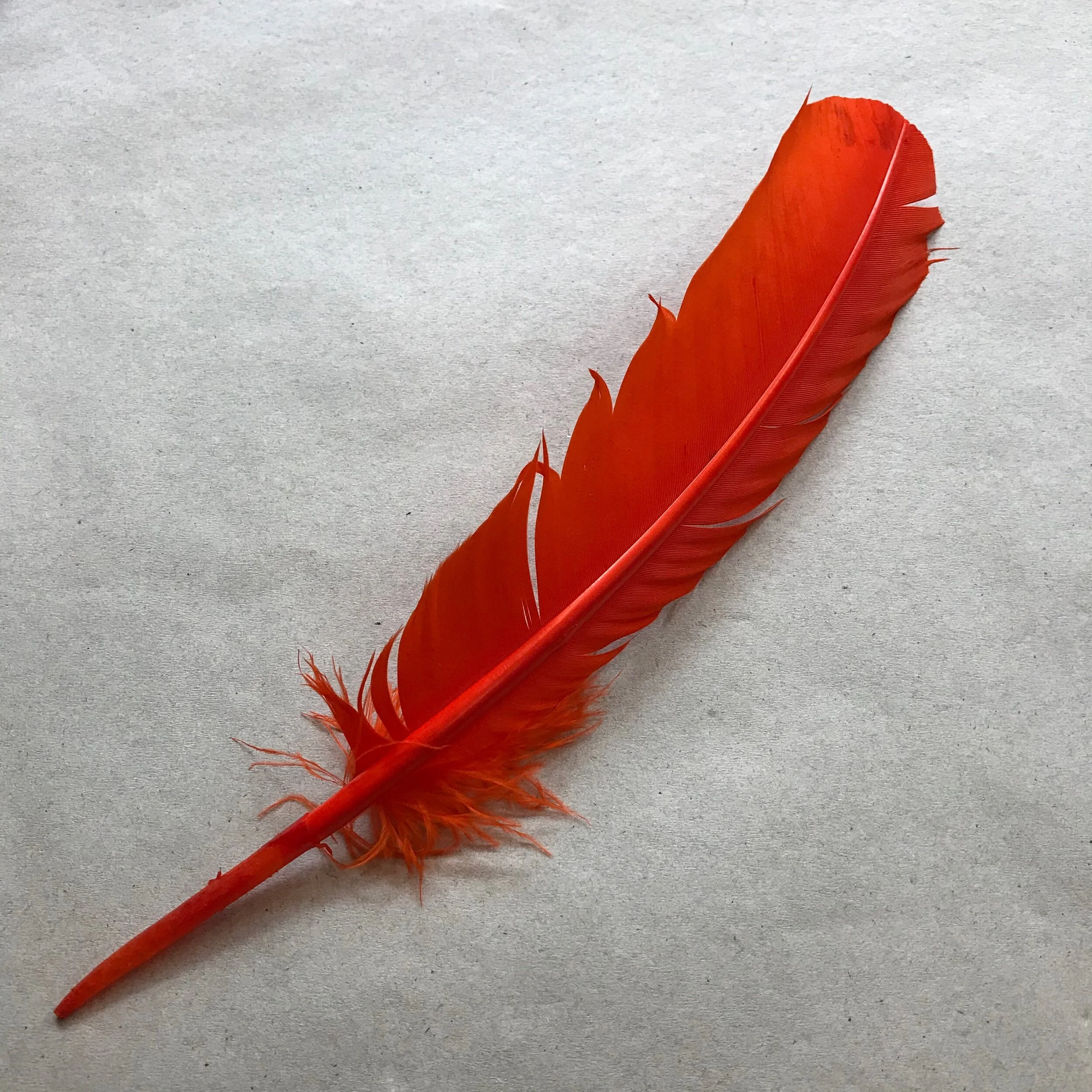 DB8C2BA6-7176-4E63-97C6-FC49BC73E020