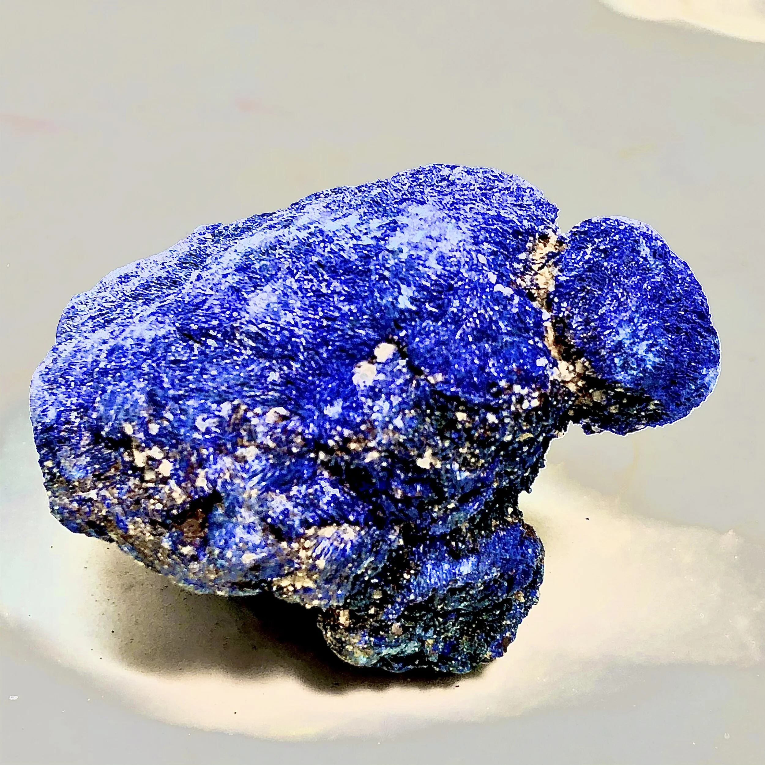 C81B0DED-C318-418D-B19C-03ED13D36825