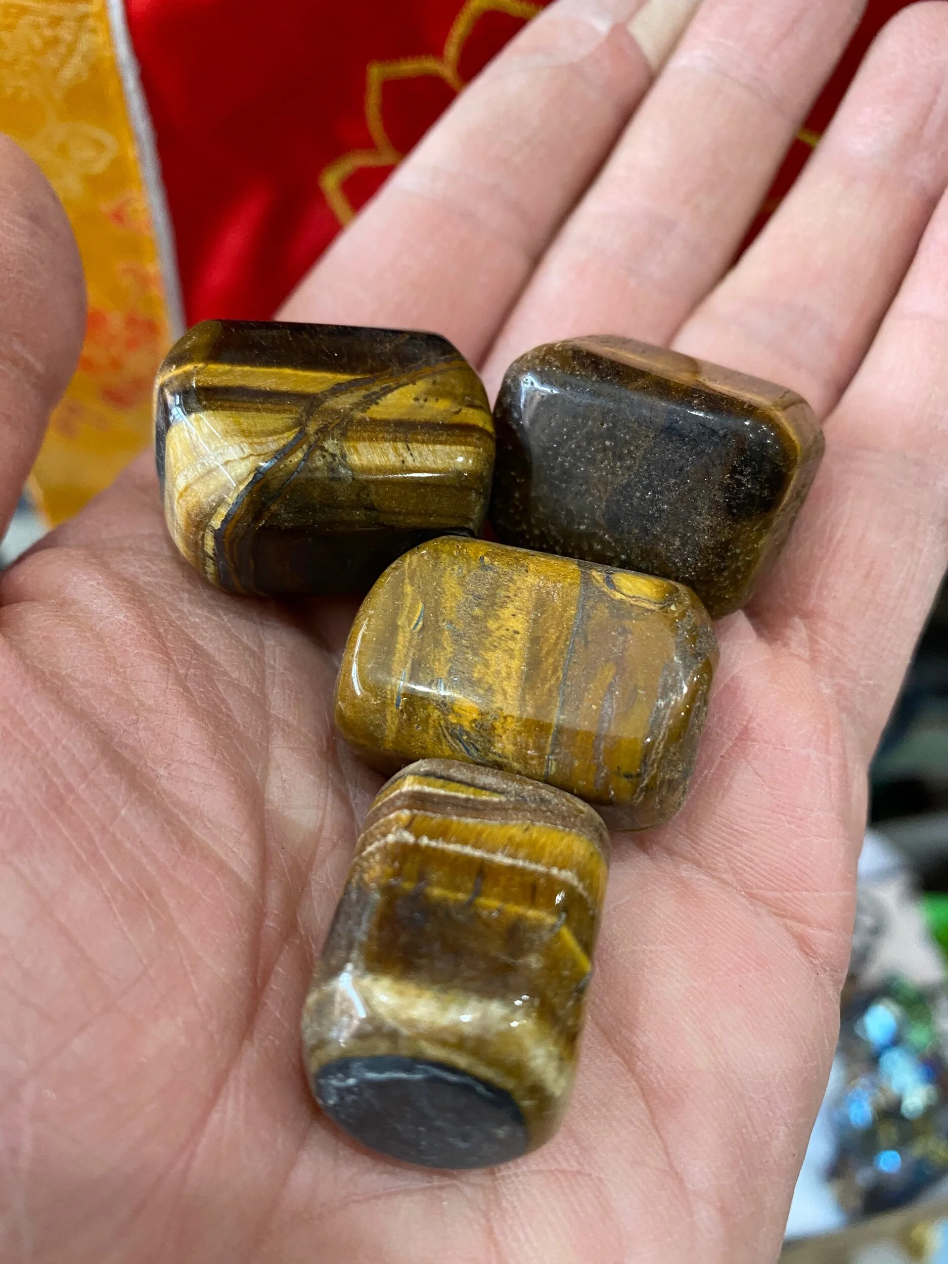 3D3B93D7-C6F2-45BC-8D08-978AF7A5E8F8