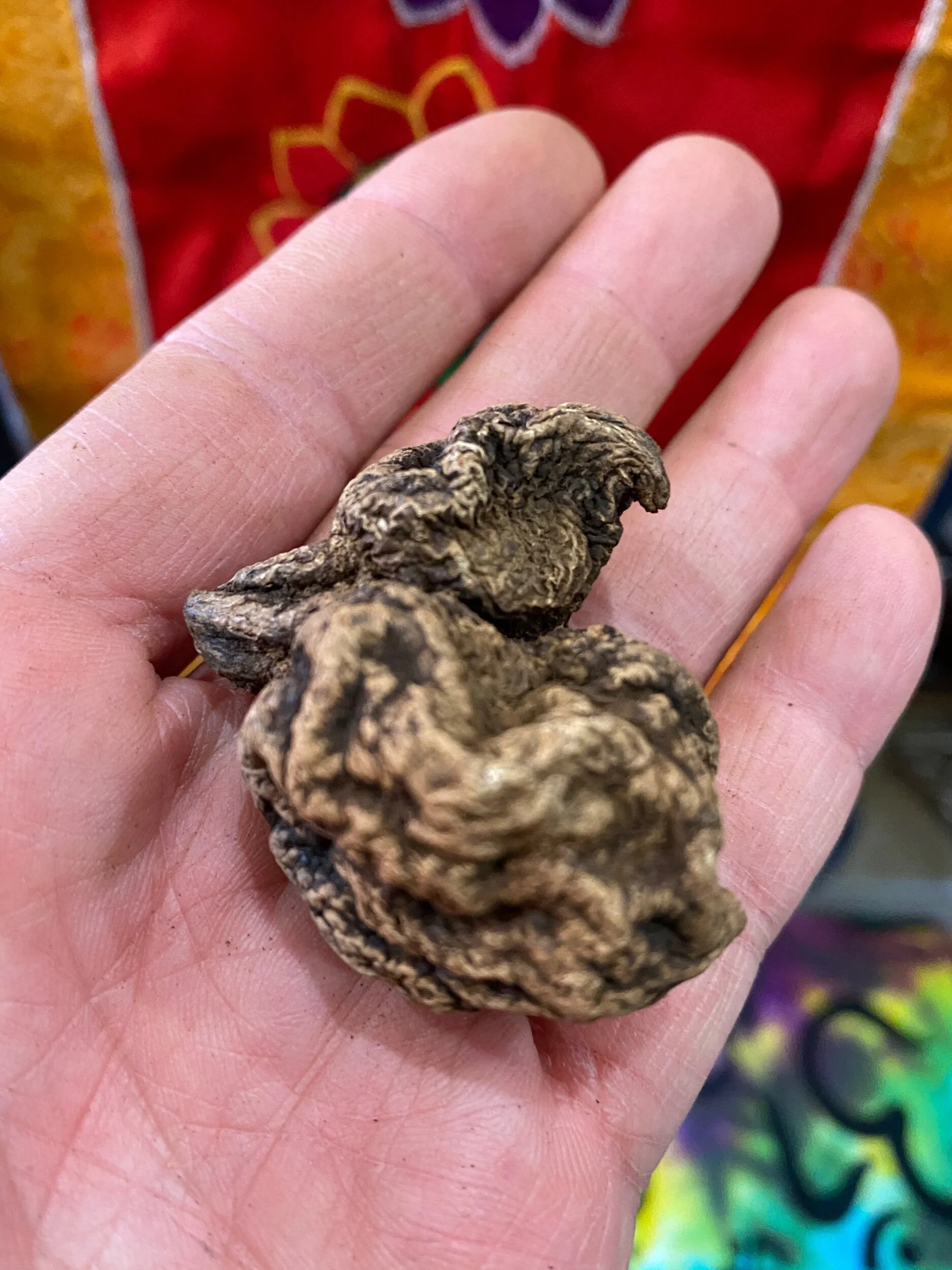 48ADE5E0-ECBF-4870-A5F8-4889E333729B