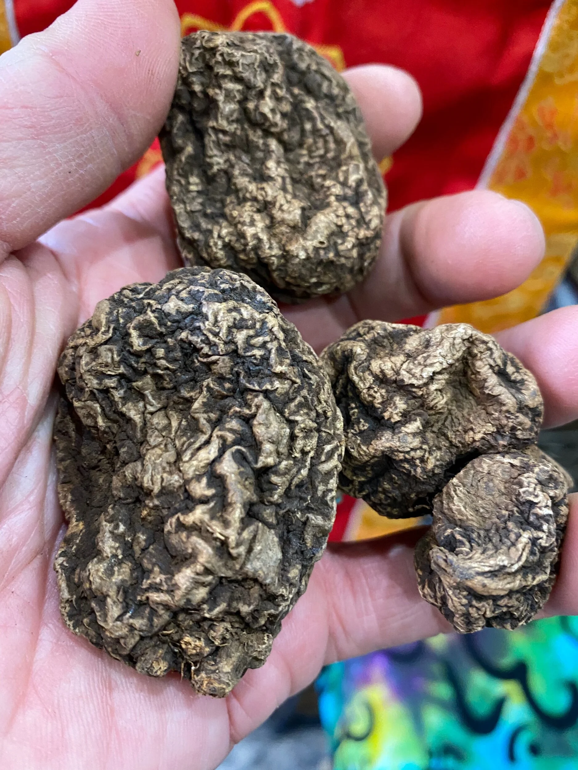 EFF4BB29-5DA4-404A-987E-06C54BB467B8