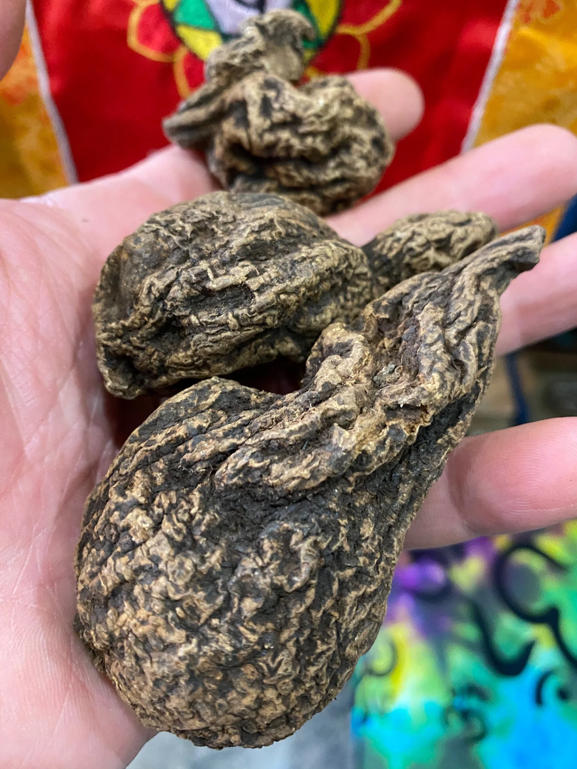 A13EEA40-1C0B-4999-BCBB-171A595D5B89