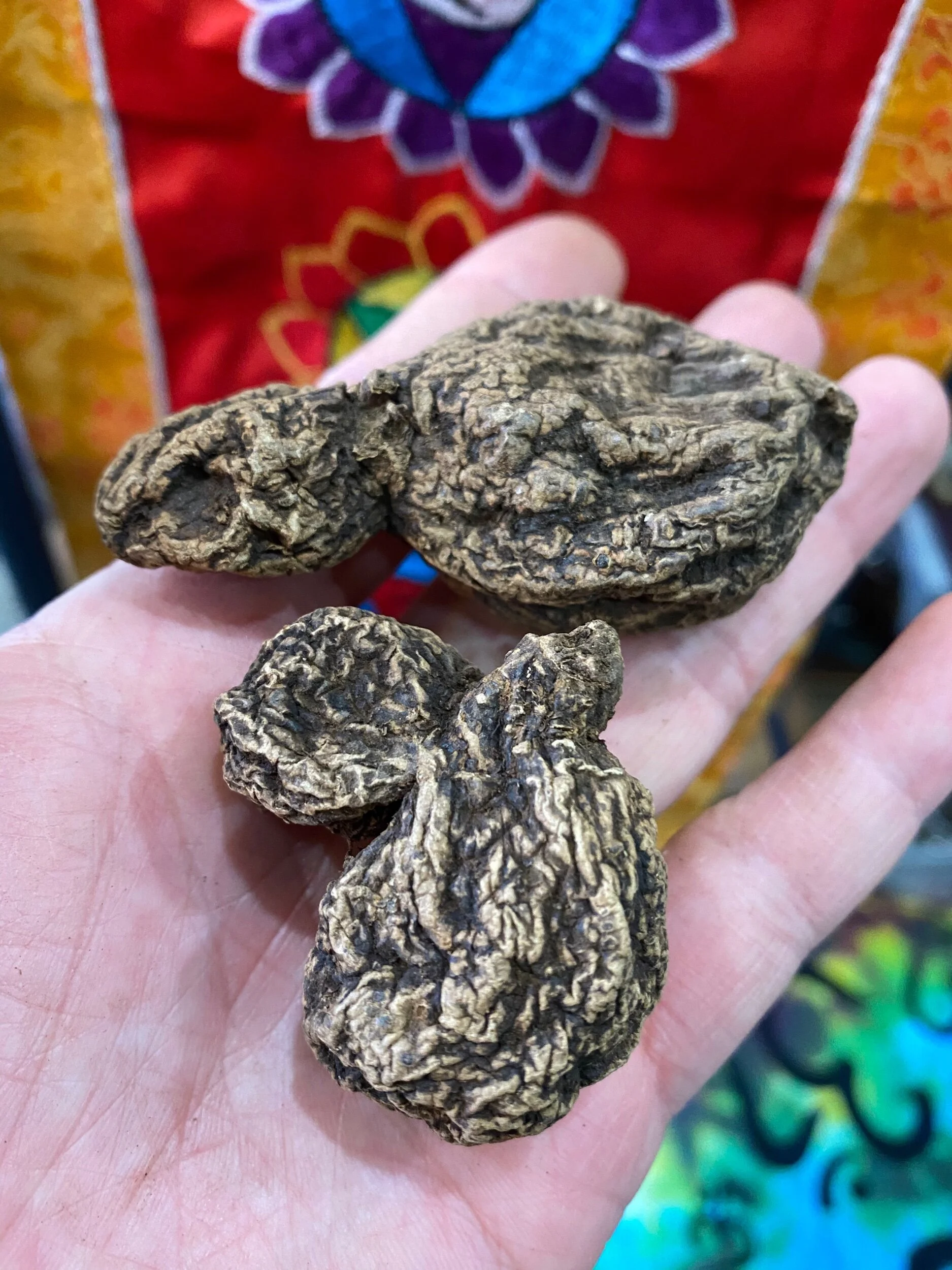 C173026A-86AB-4A5F-B584-5F3F094BD531