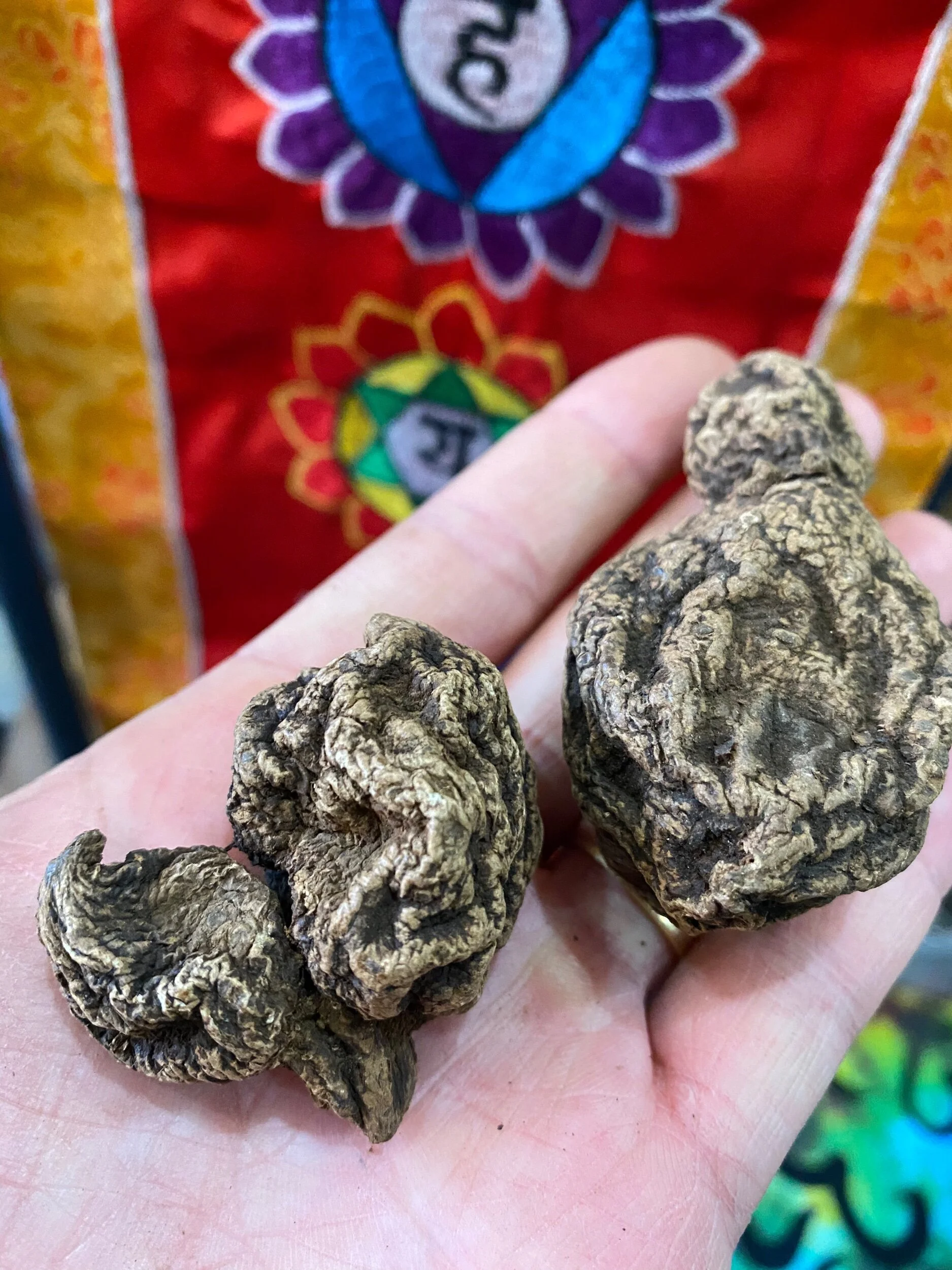 1659F3BE-1B5A-448D-B877-8E66173804C2