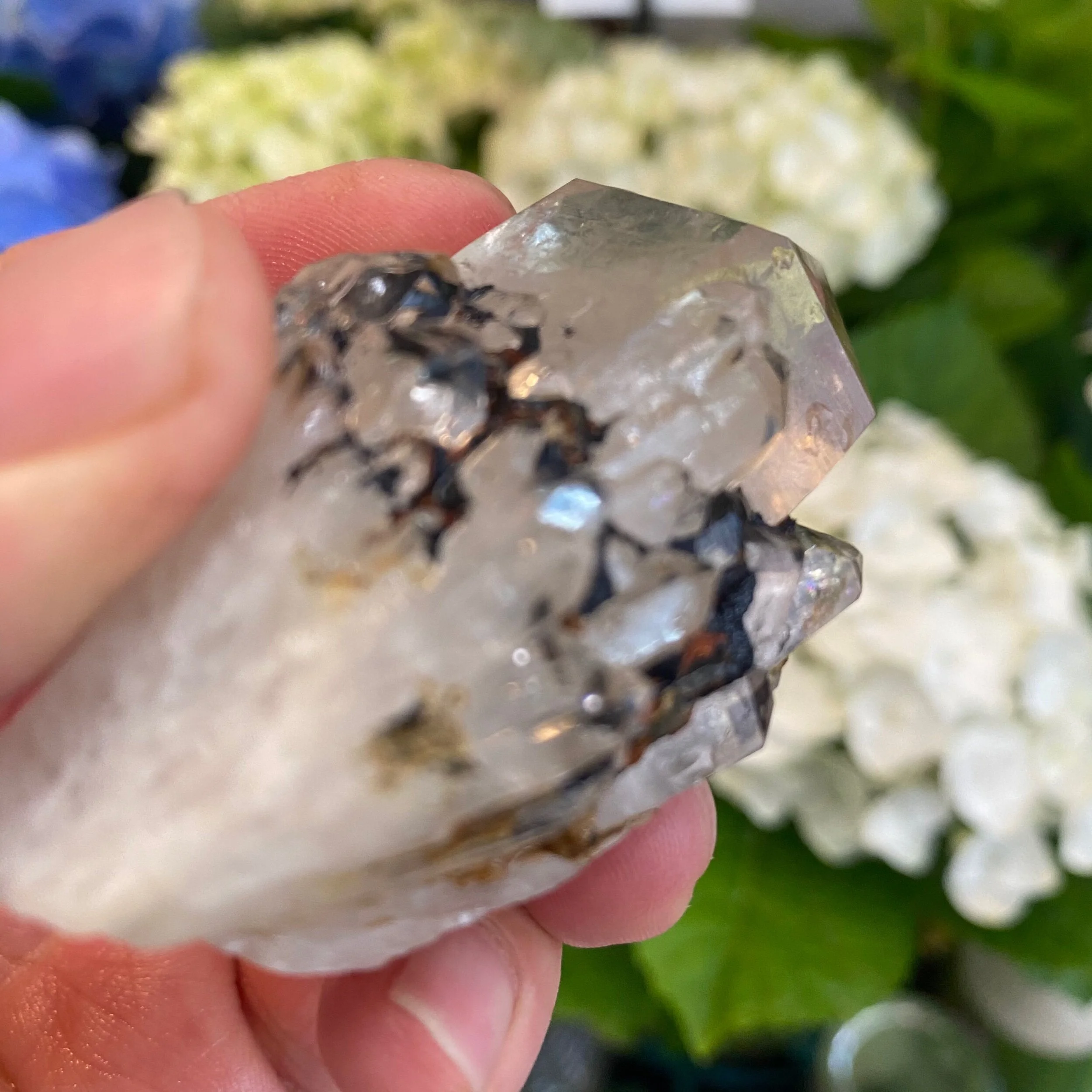 EB1A4C9E-CB45-4E63-A9F8-0E13DDF72D2B