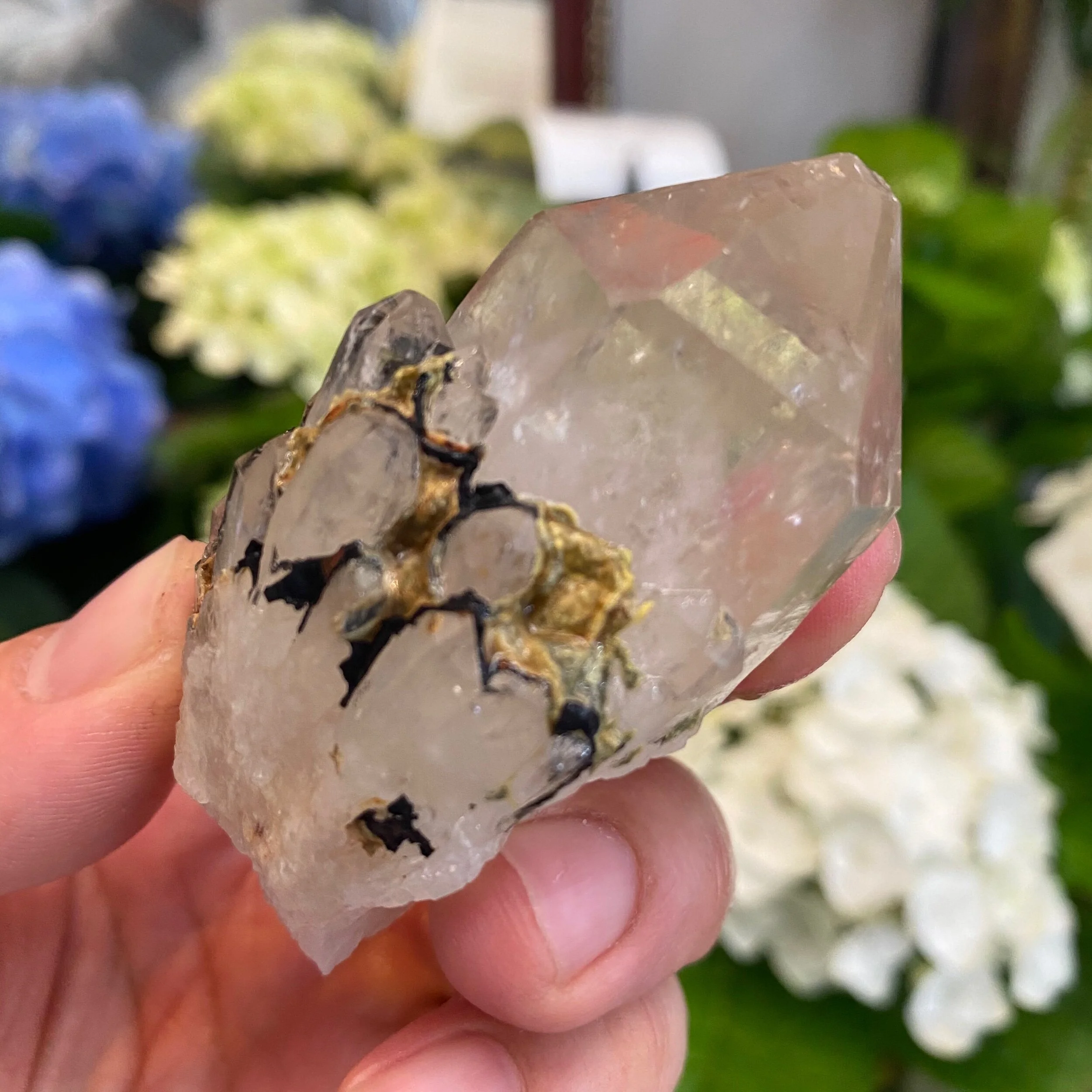 936B5DC0-A023-4D42-A941-877781B7D1A1