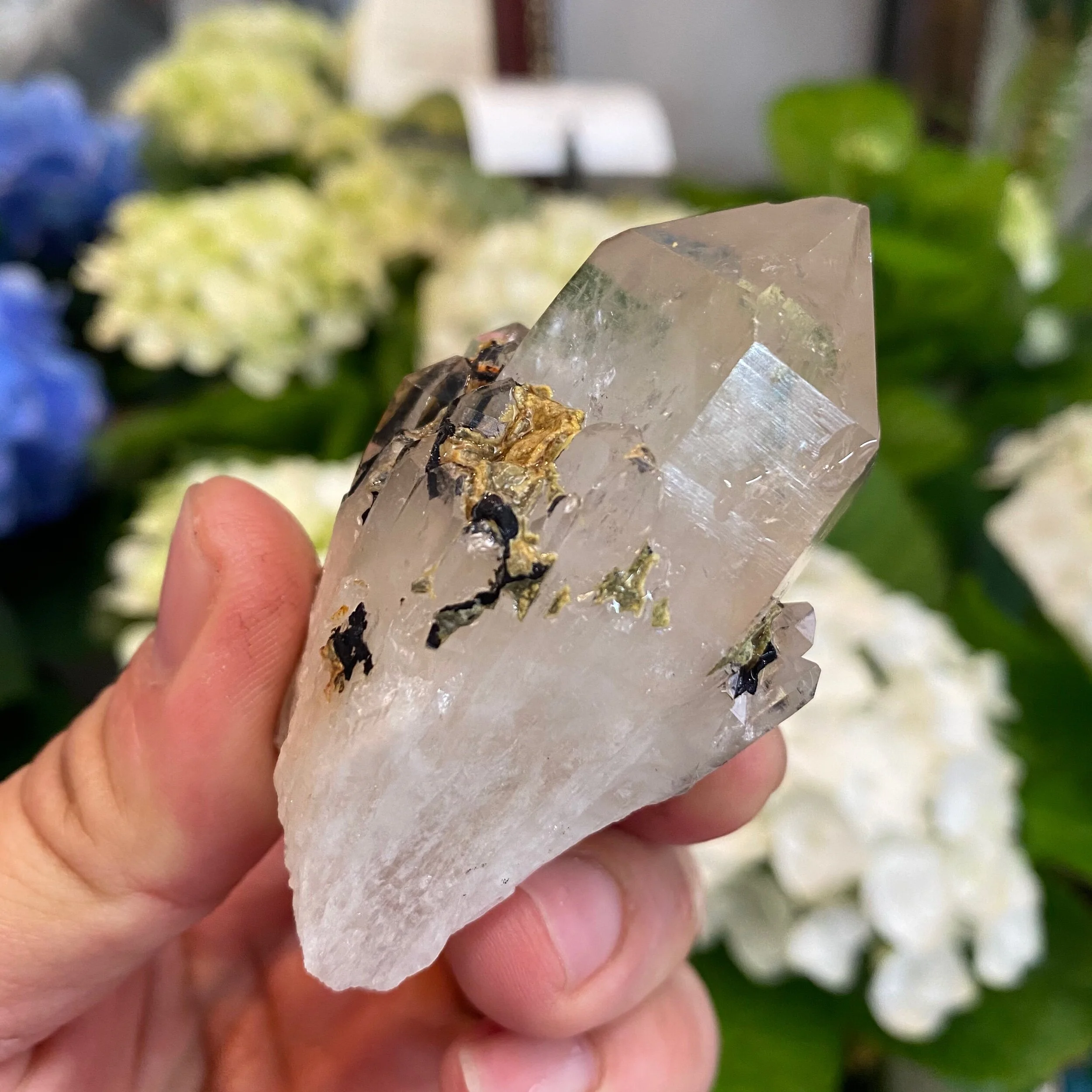 BDE10F5A-EC68-498F-8895-124F6529240D