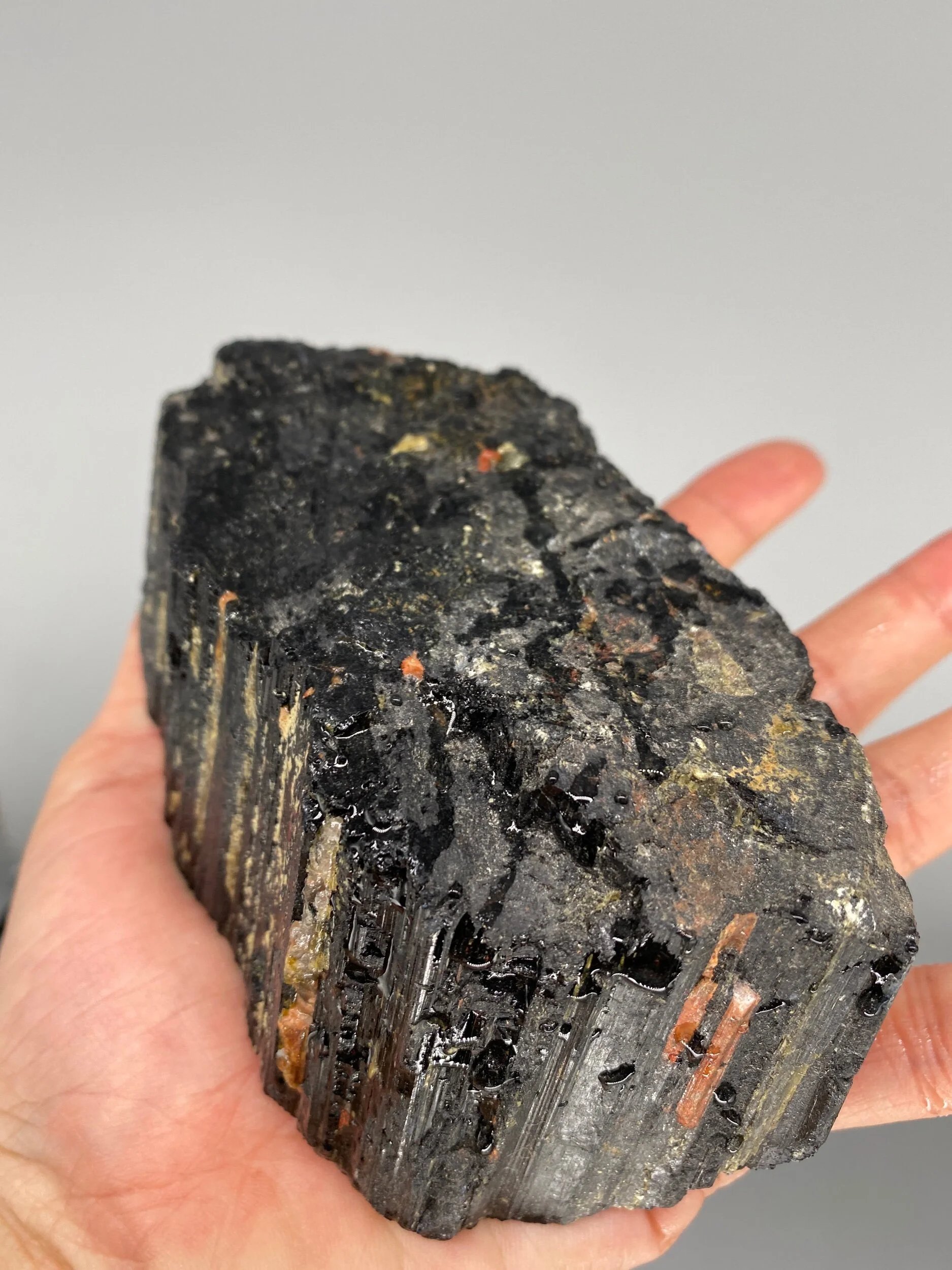 3915D00B-CD00-4BCF-8D57-86F11AFC39E8