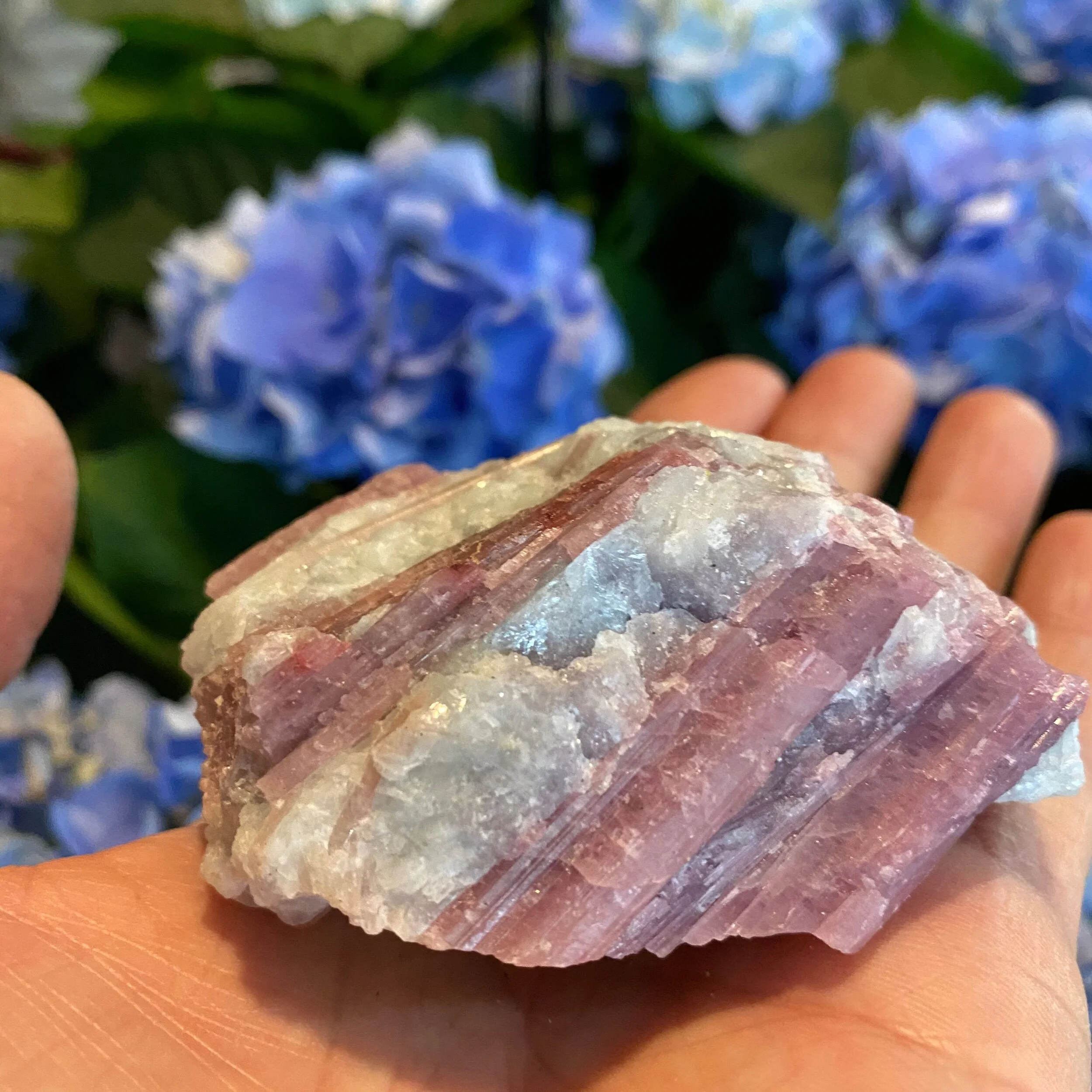 5B7E68CB-D90A-4069-AE3A-C0E86B498A37