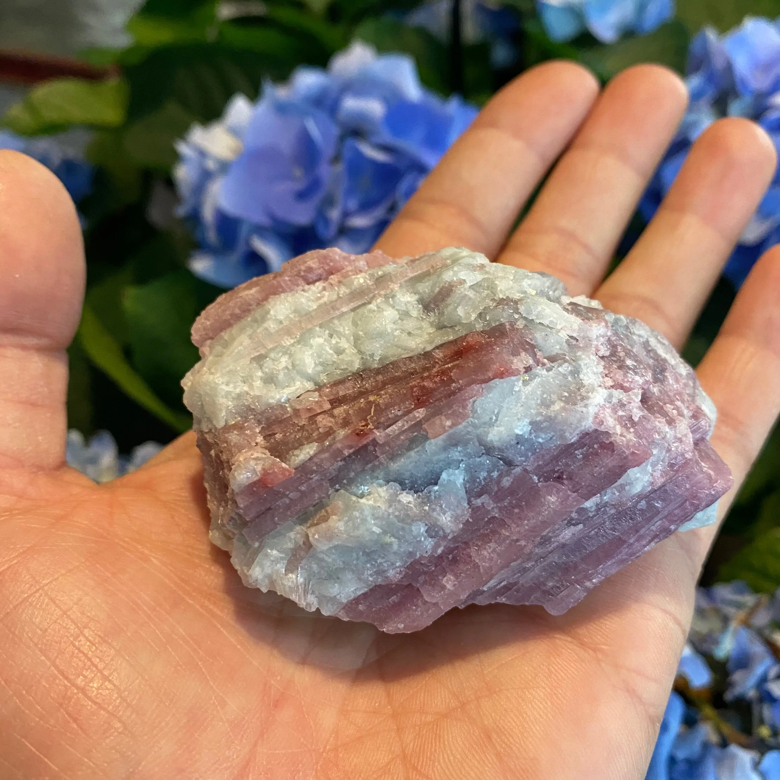 5964E8E4-5B3E-45D1-A0B7-038BE73405B0