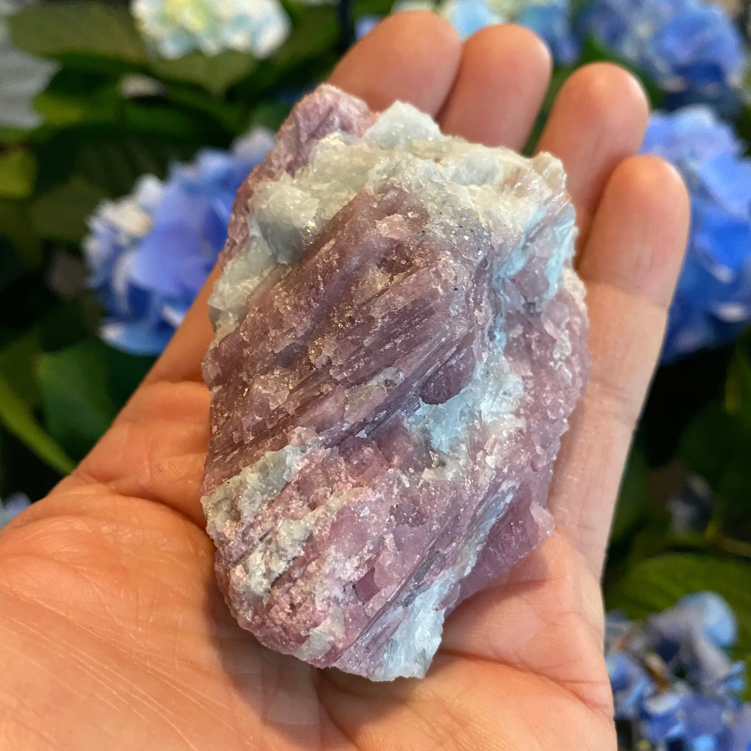 FE5698DB-8A02-4F2F-8BBD-E3C0EE1D06CE