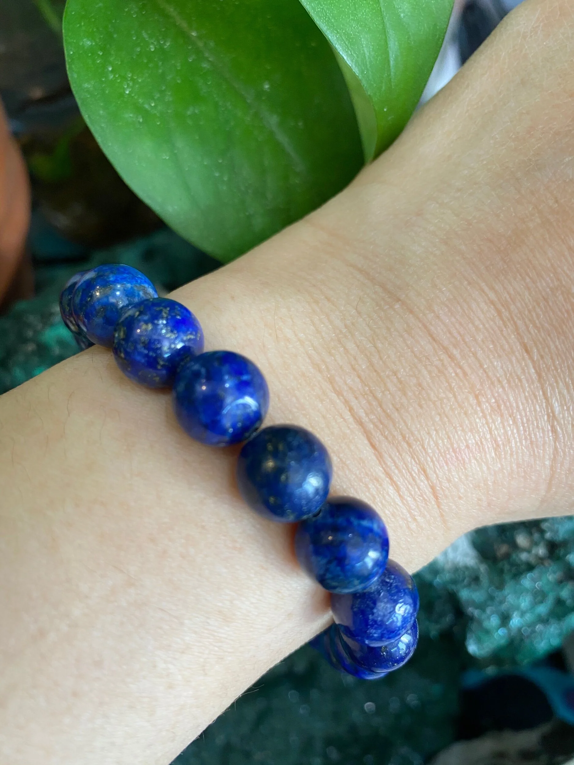 0F761F22-79EA-4AE1-A8C9-1A85D7FF173B