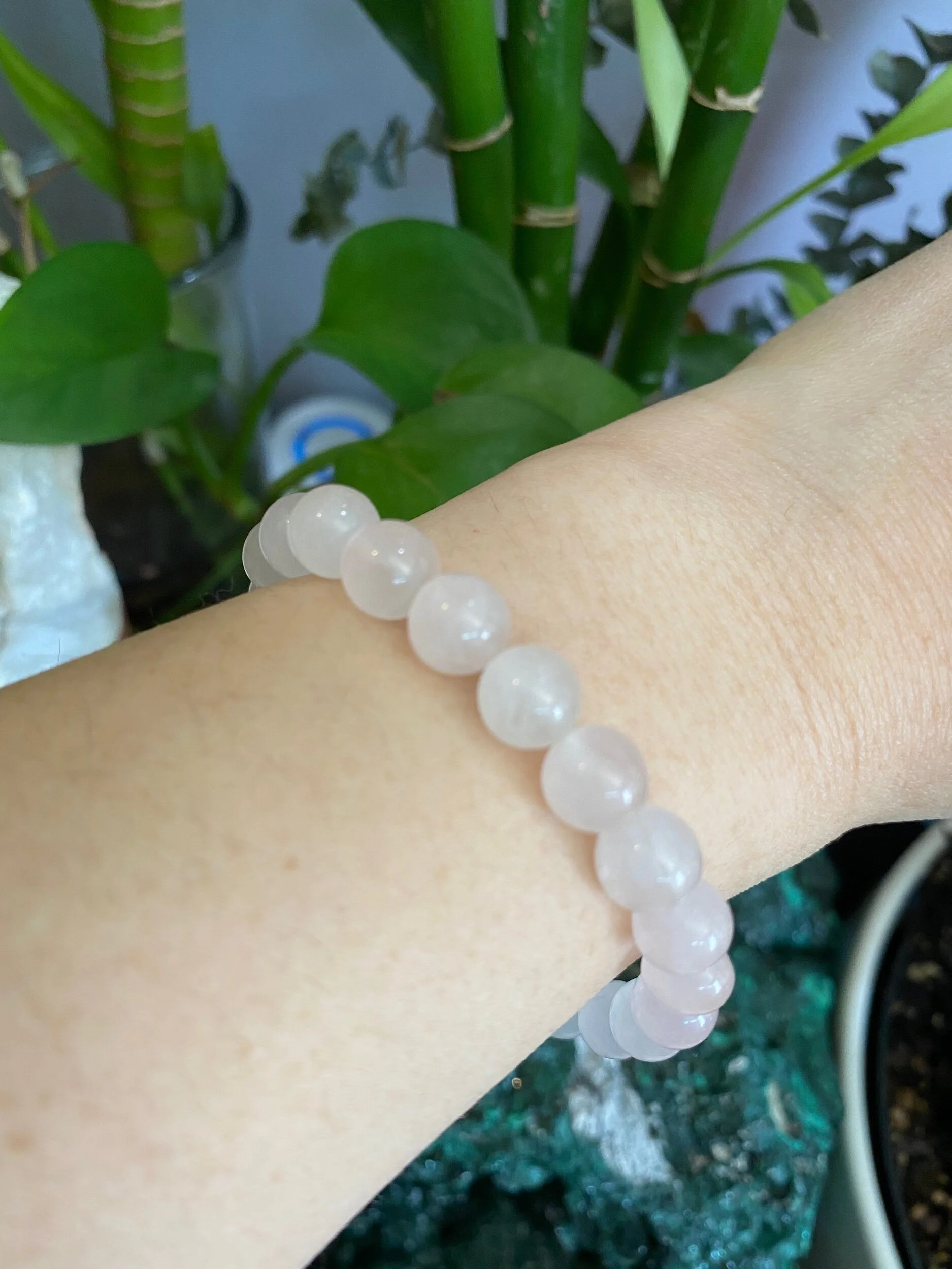 797F79FF-B4DC-447C-BBC5-F941BB28EE4F