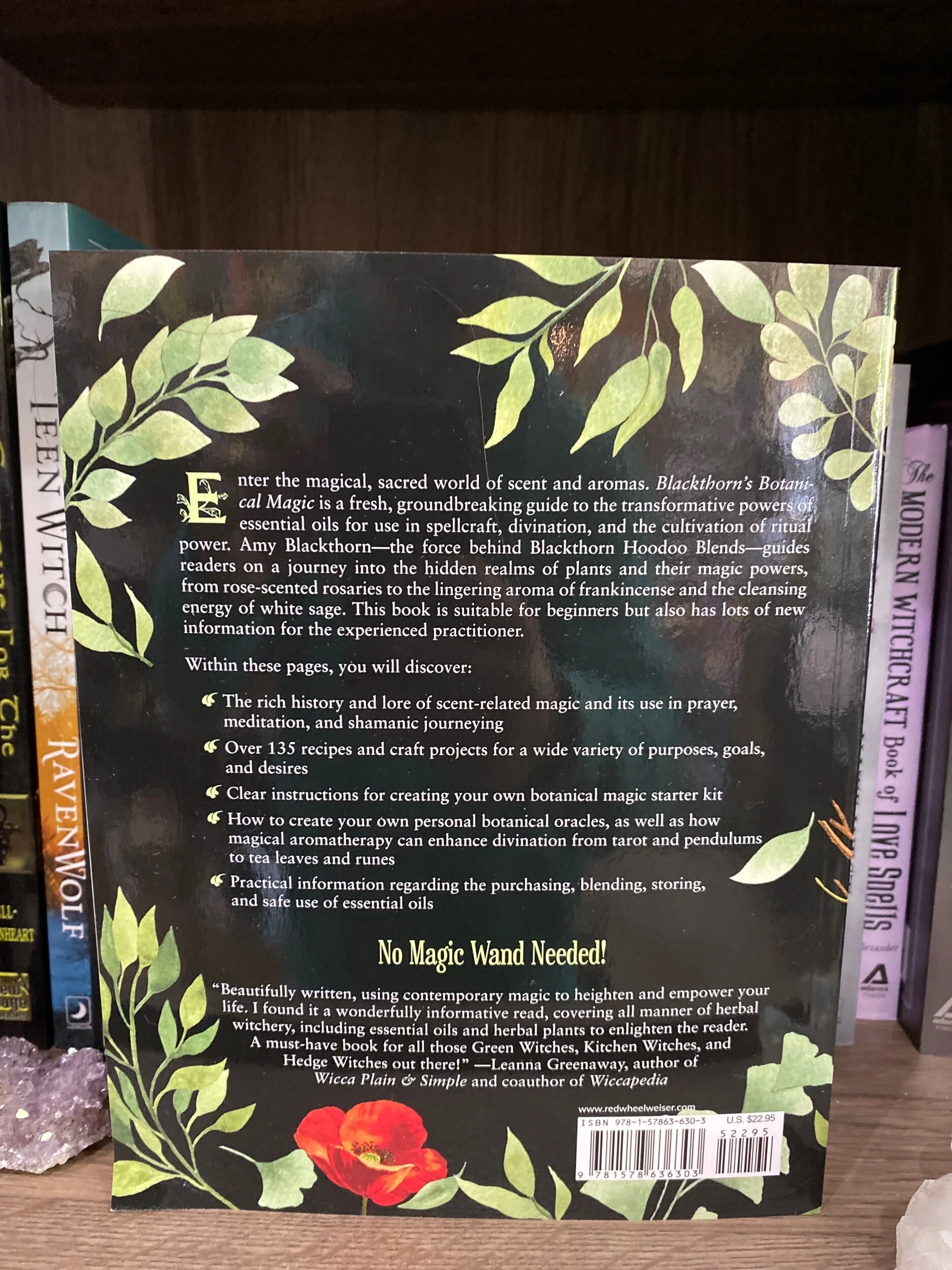 10E82B72-3159-4A1B-9E39-76DDA029E1C2