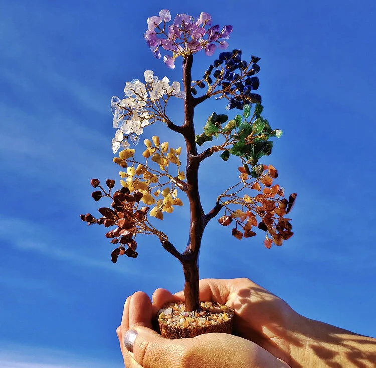 6BB273BB-AF3A-4F08-98DC-B9D473ADA0A0