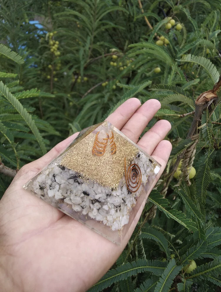 0CC55C45-BBDF-4D5F-A785-46A1BB951BA3