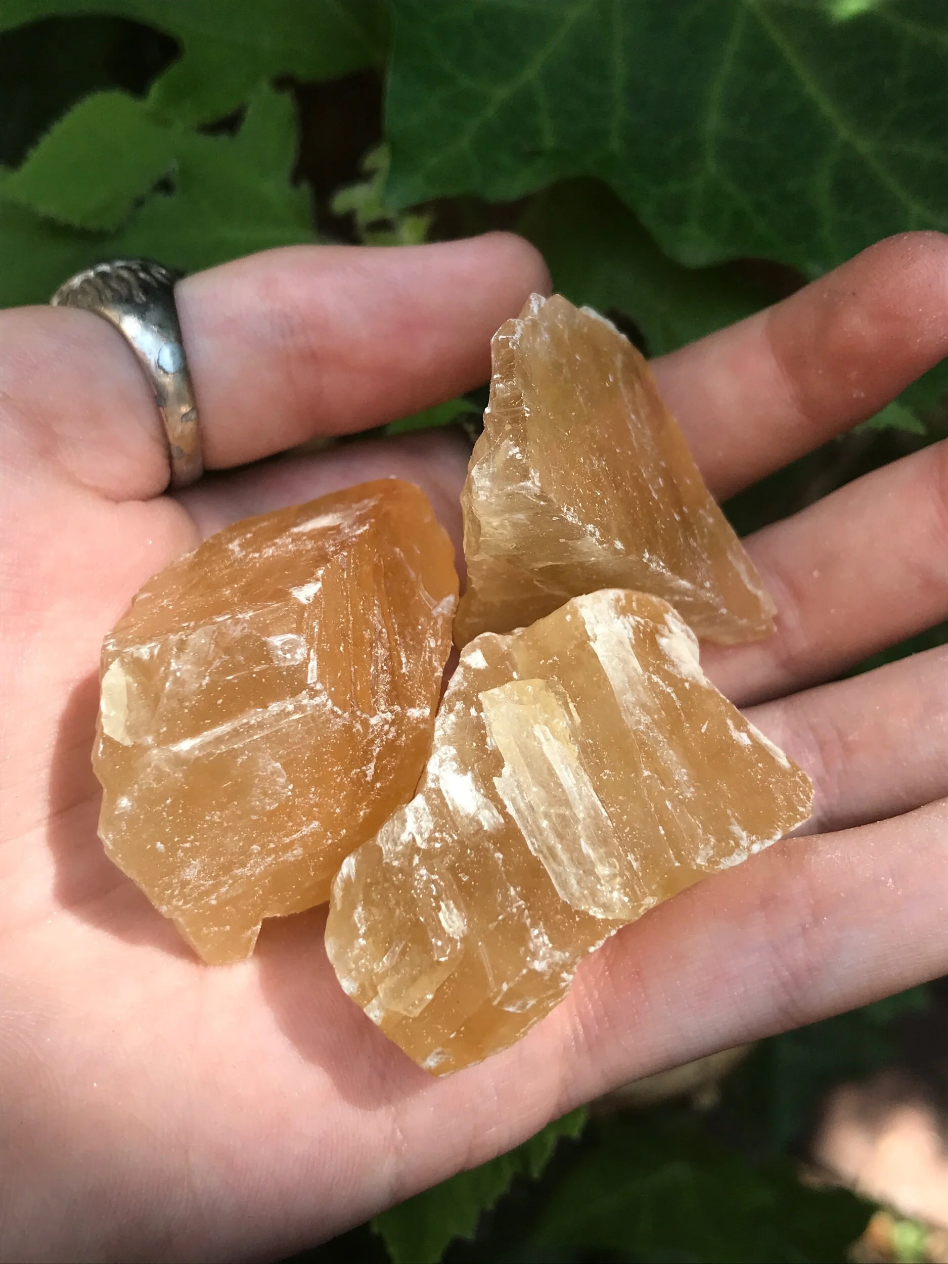 9B37A47C-7BEA-48FD-8E8F-1E0C20CE9EC5