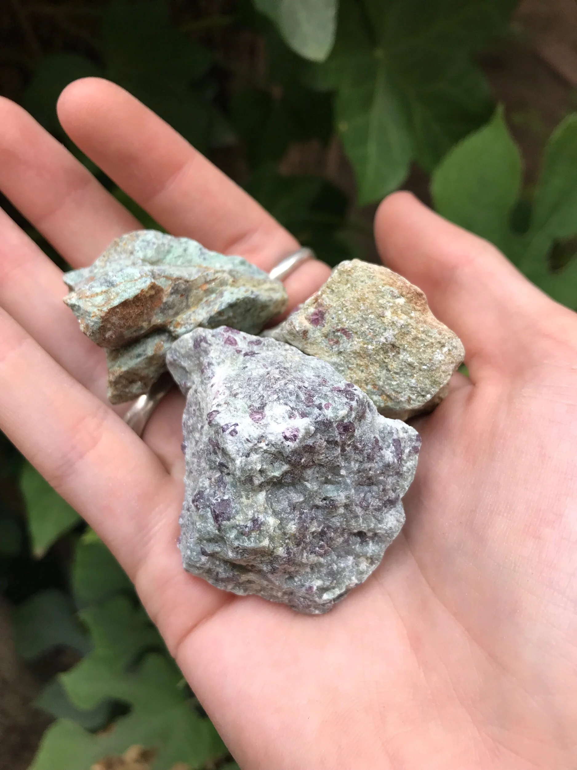 A24FECB1-3D29-48CD-9DE2-17D657EBABBA