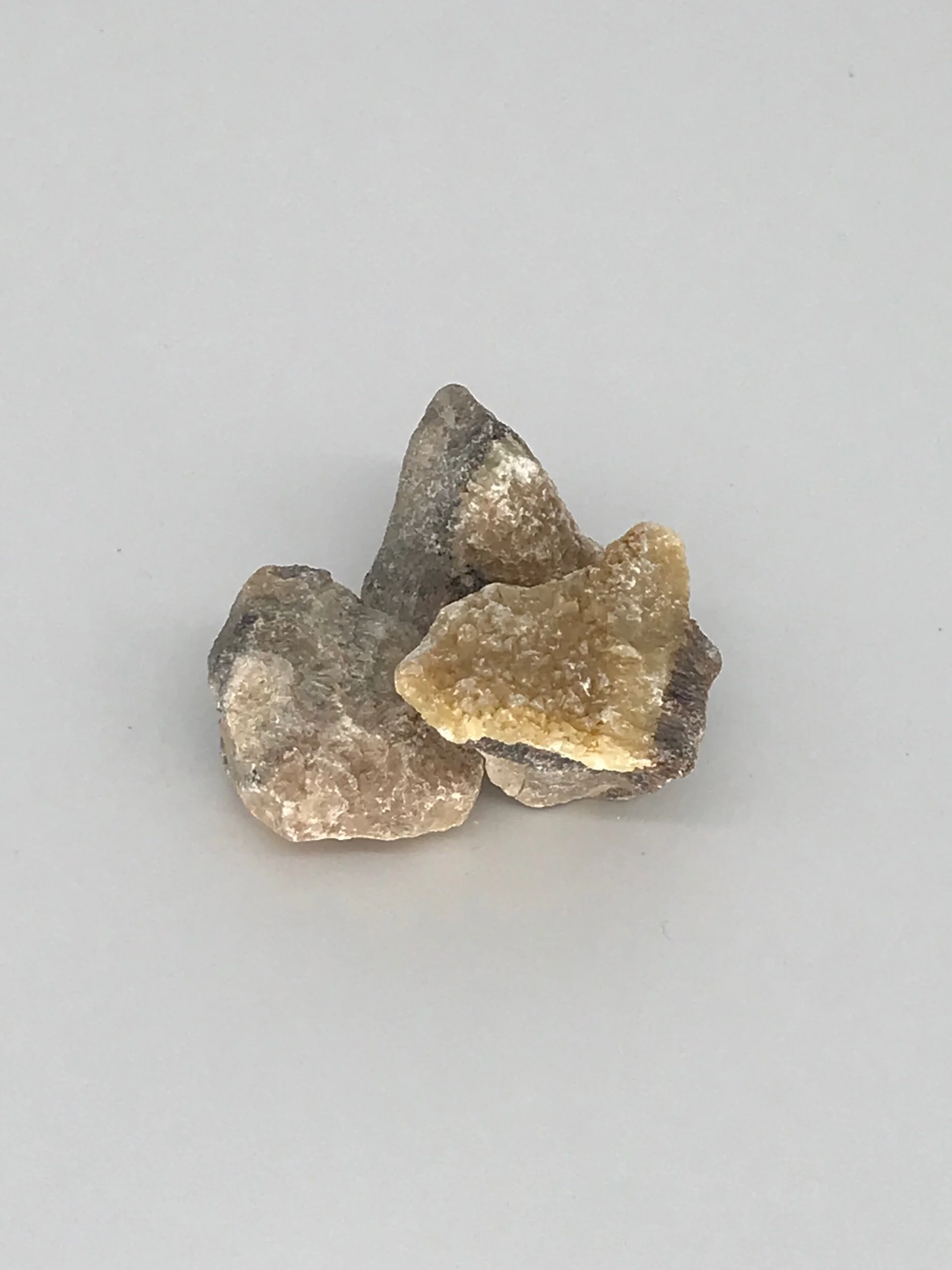 1979503B-5066-485F-94B2-9FE296AB6AC3