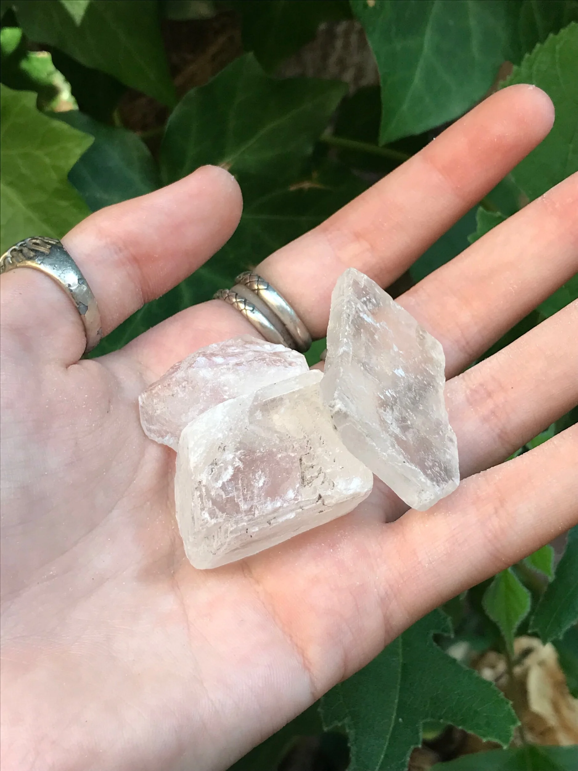 2CEBA972-DFD2-4D37-A23D-26302E29B3D4