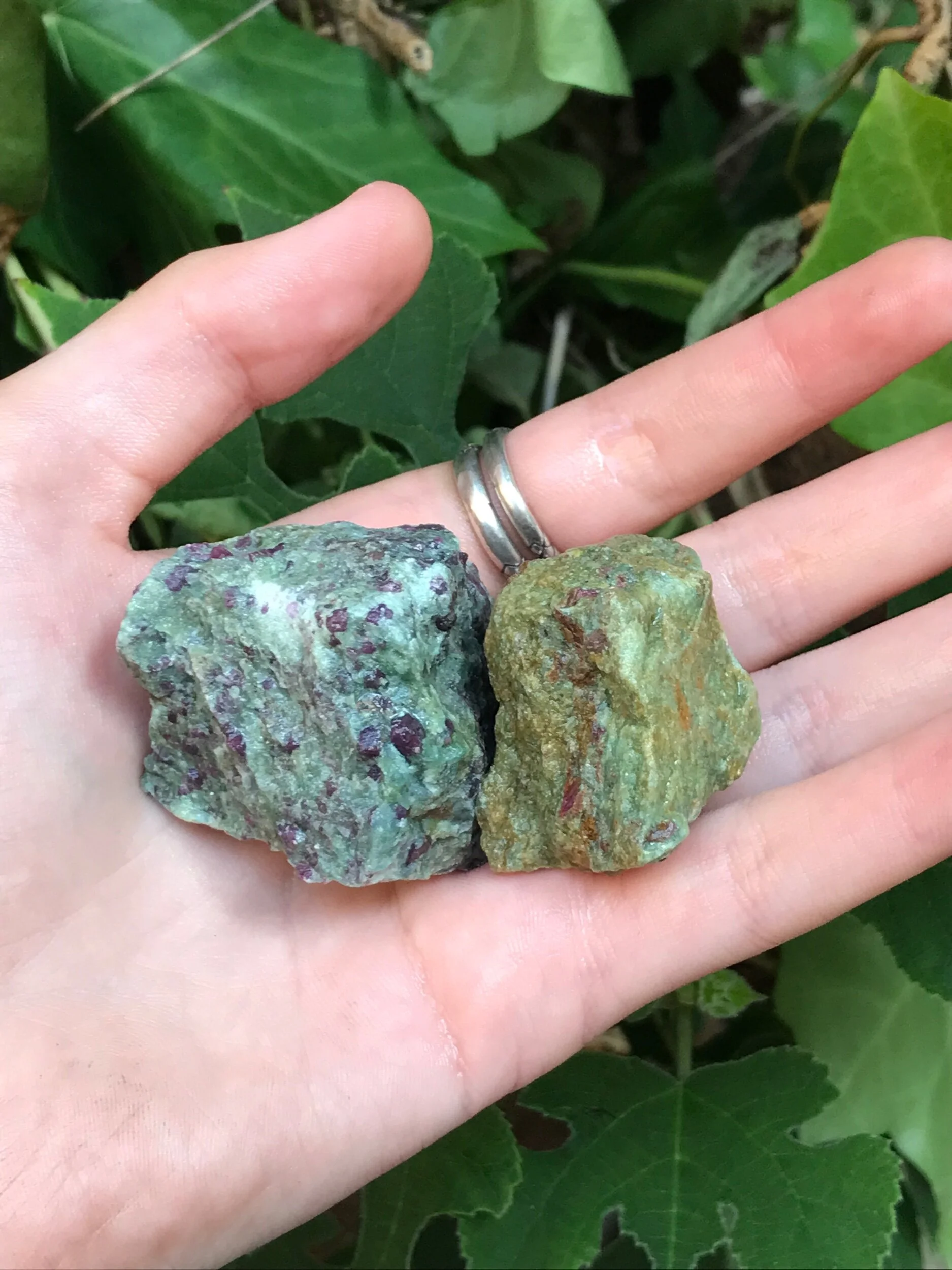 8B5A19E9-EBF1-4DD8-BCB7-02C04CE733B7