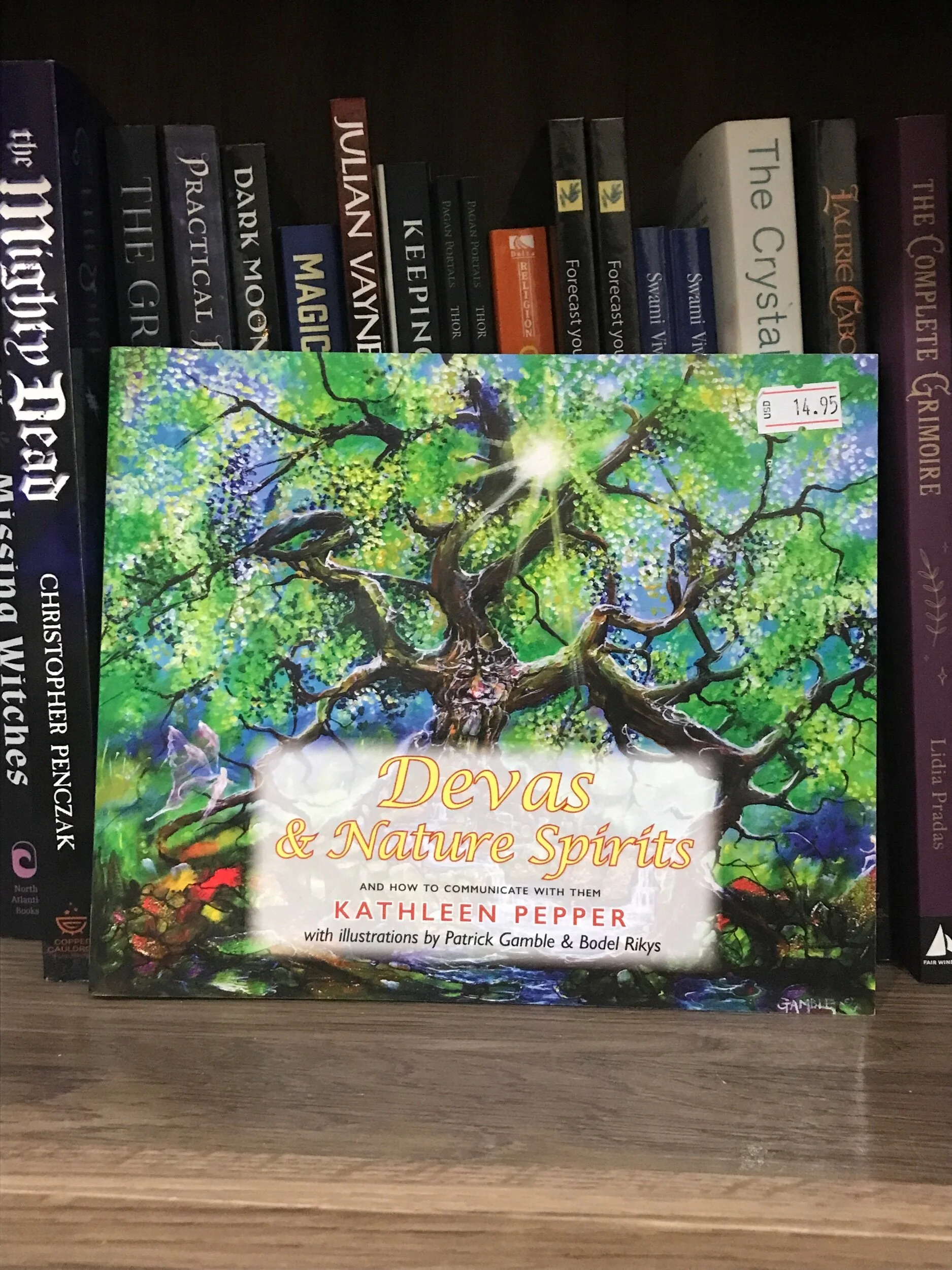 74D9303D-0A6E-418E-BD3F-80F56F06EC2B