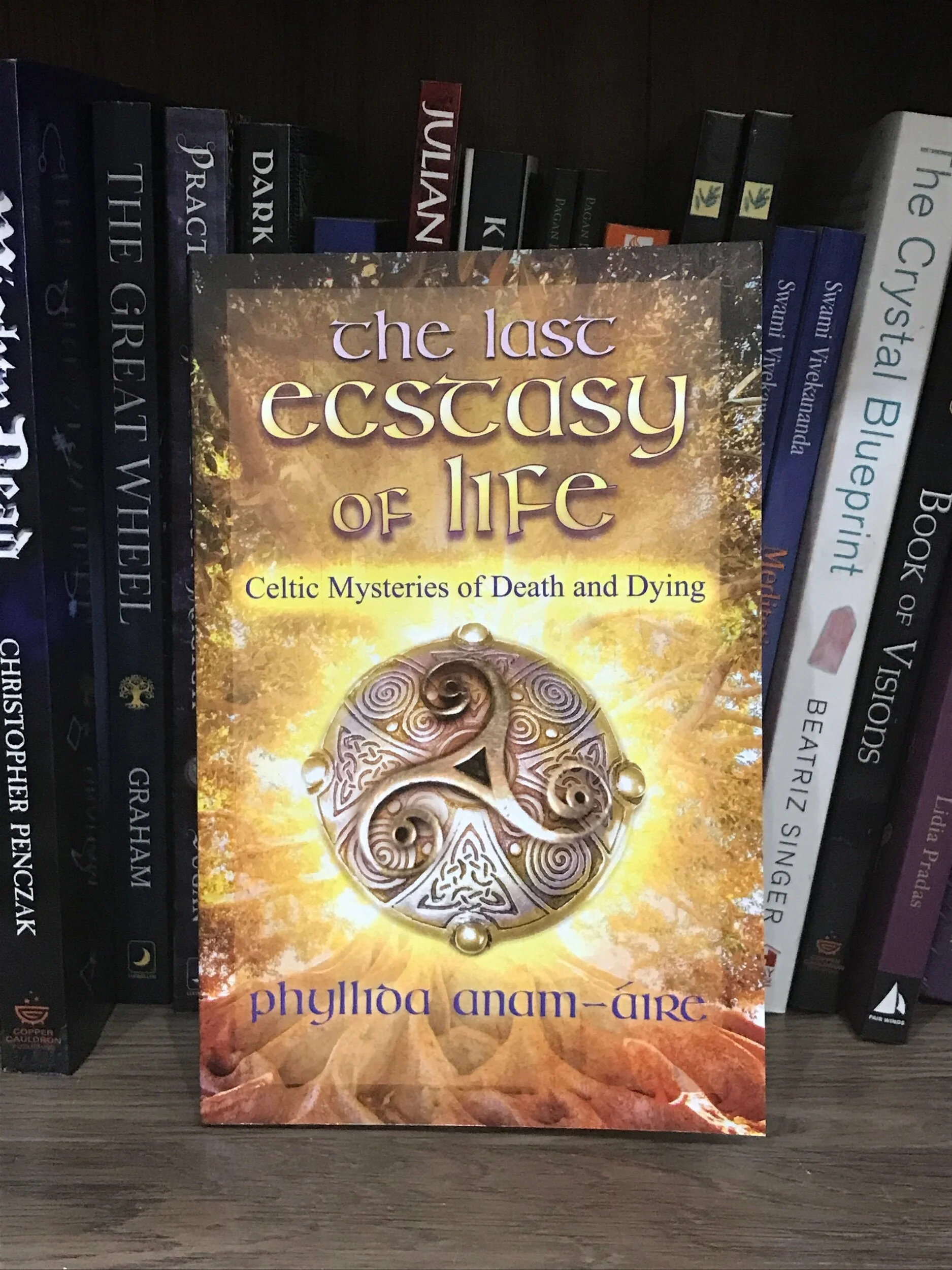 A9C86411-3282-41CD-AA8F-33B886AA283E