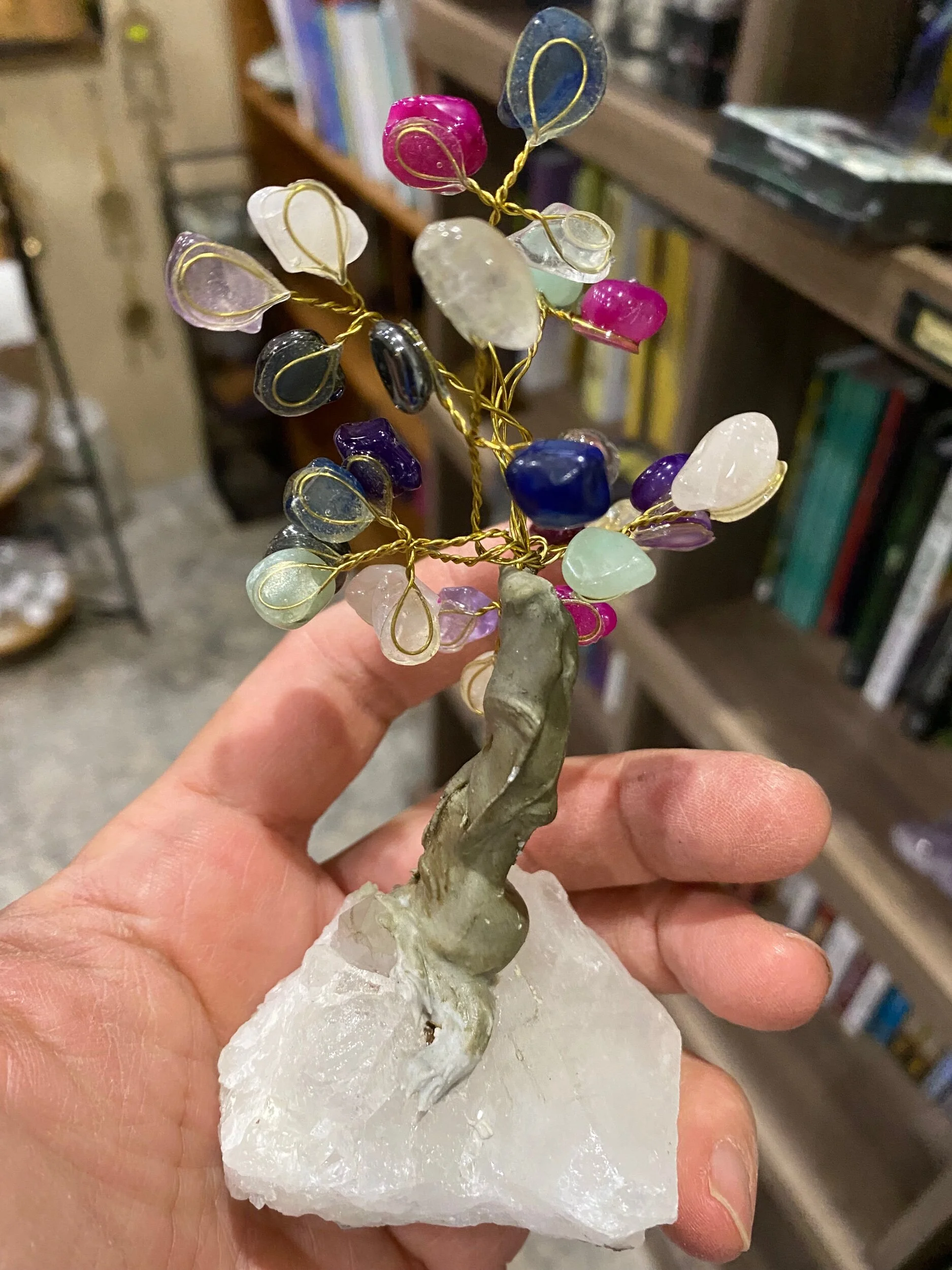 F961F61E-72D6-40B7-A897-80D3C22A0045