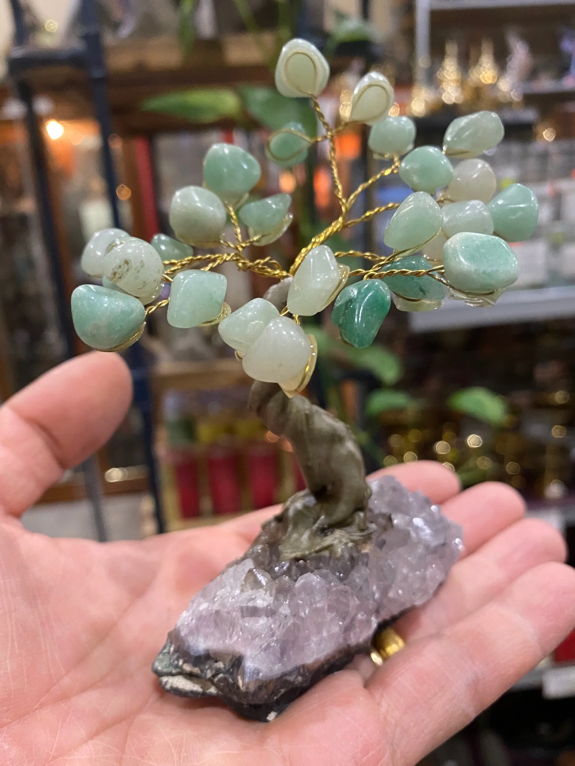 E6751EDF-1A72-4AE4-8BB0-047F0716F773