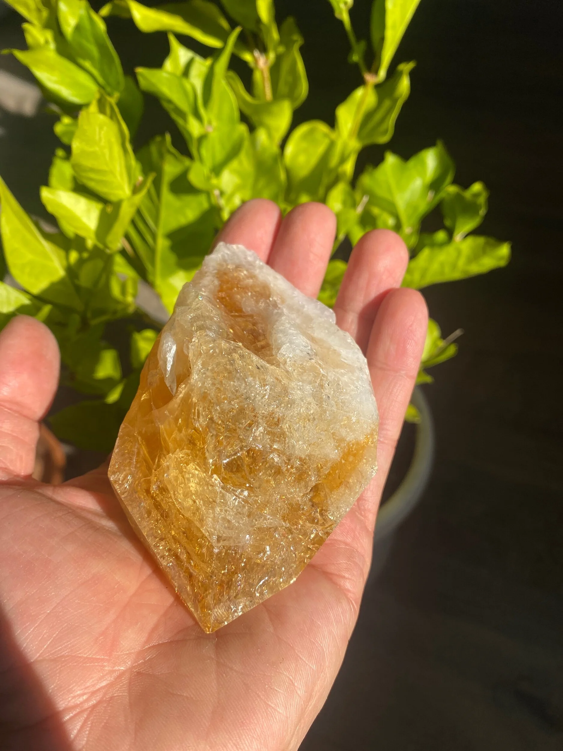 3F877573-367A-475D-B52F-46B1A856C019