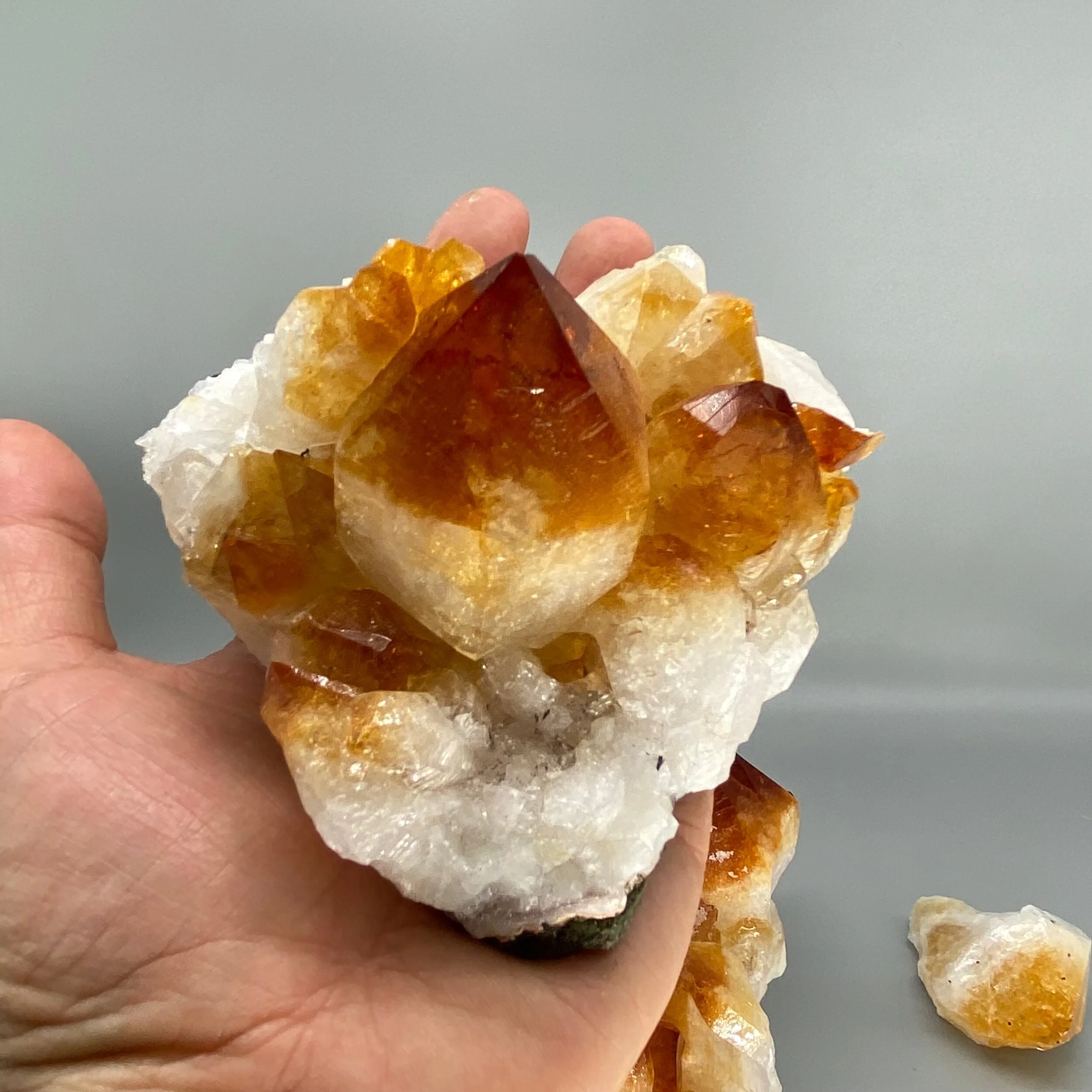 80A762F2-54A8-45B1-8A65-132A3CB557E5