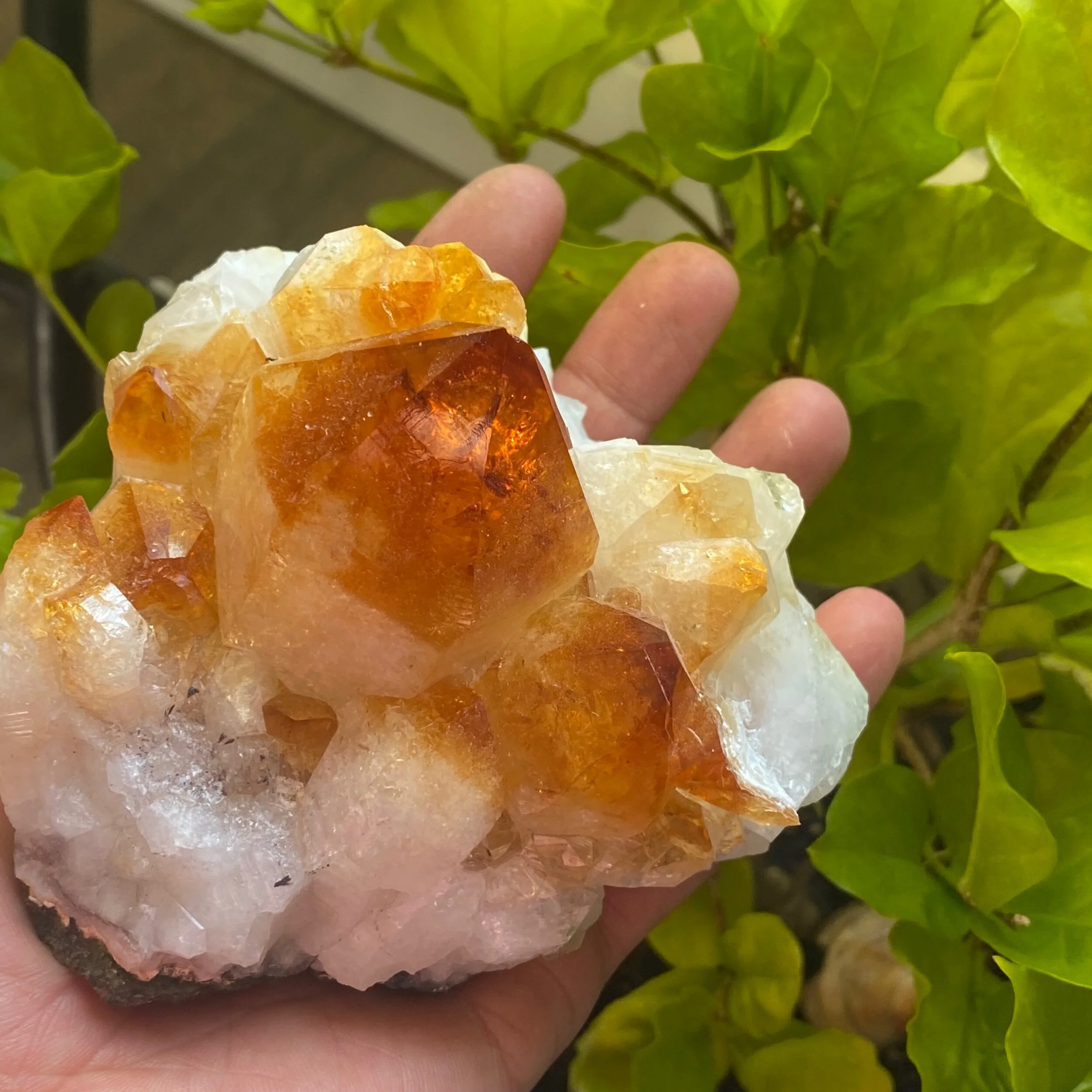 C28D650D-82E2-4D70-8A03-64DD45EC2AEE