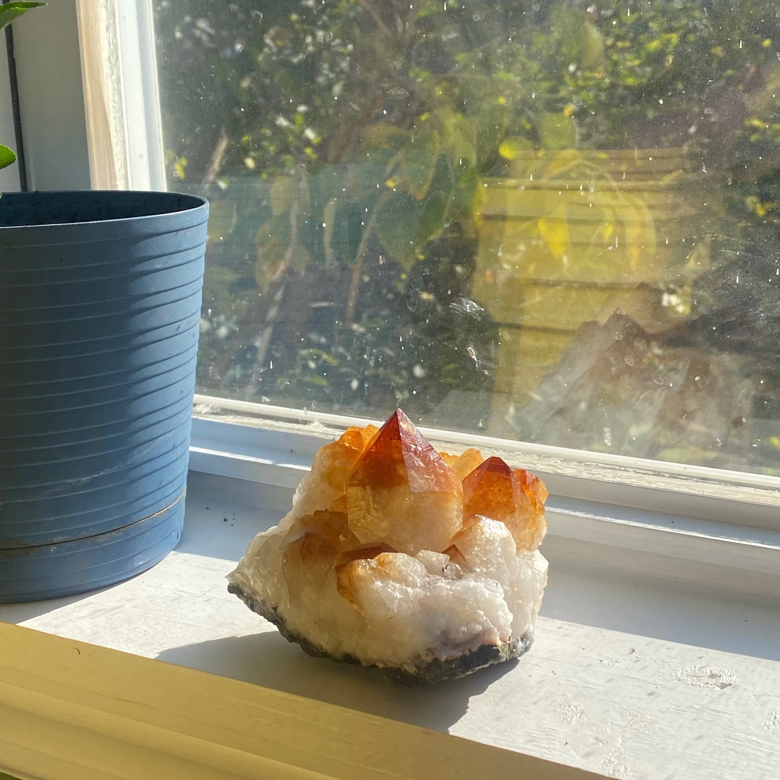 FDF79FF2-12C2-48B2-86B8-A2E634CEA18B